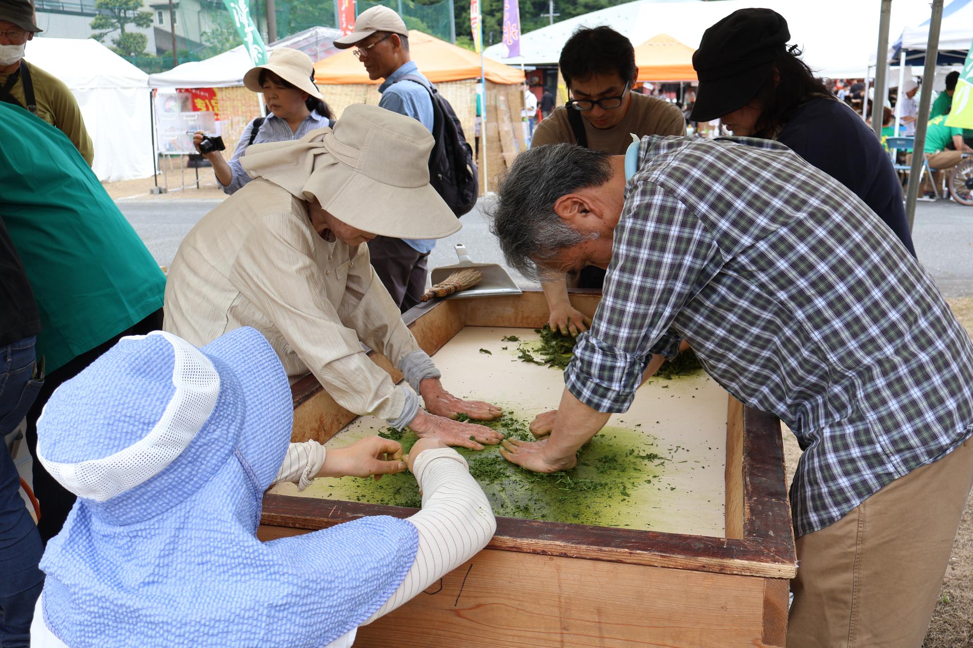 お茶の葉の手もみ体験