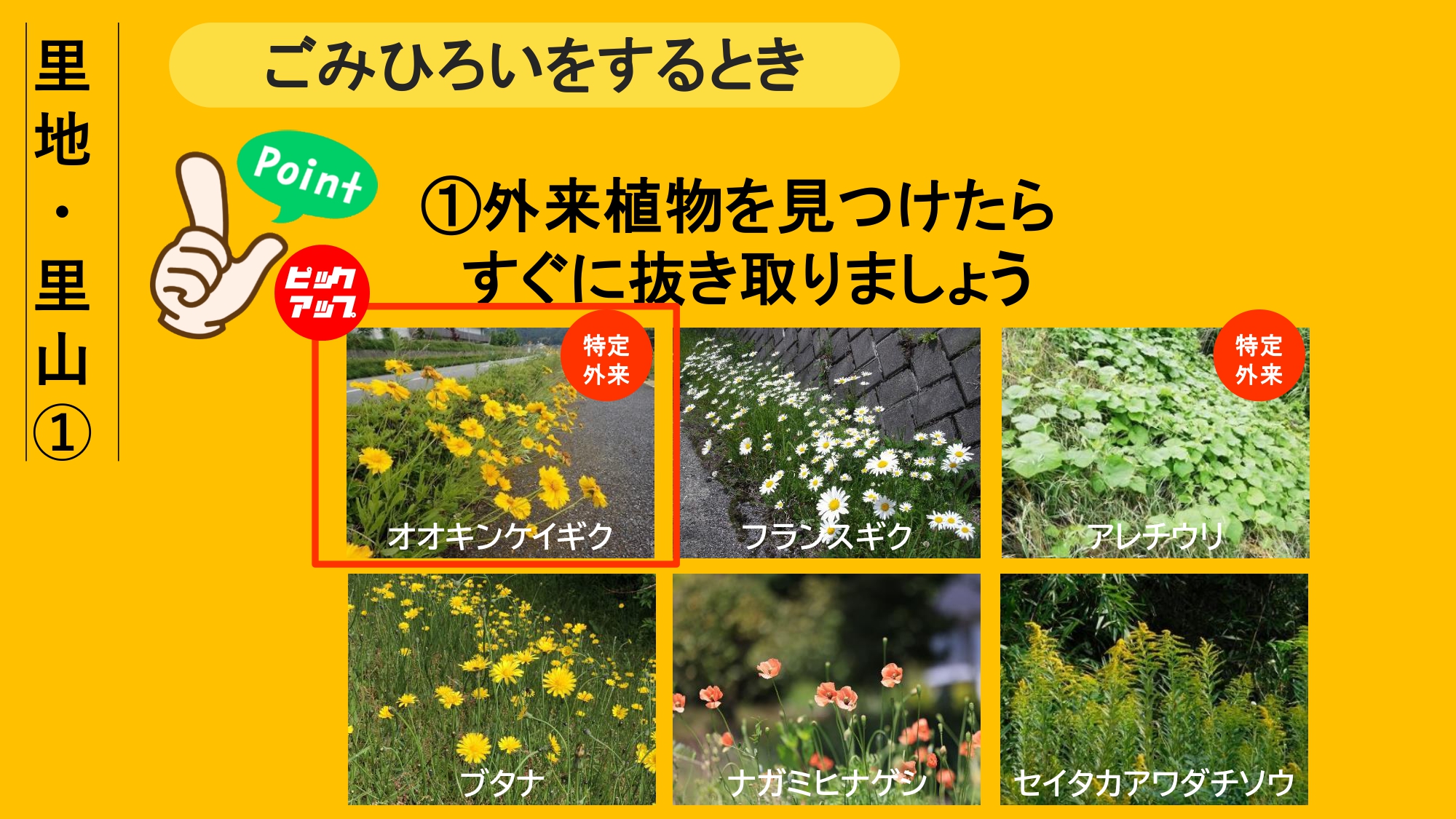 エコアップ12について