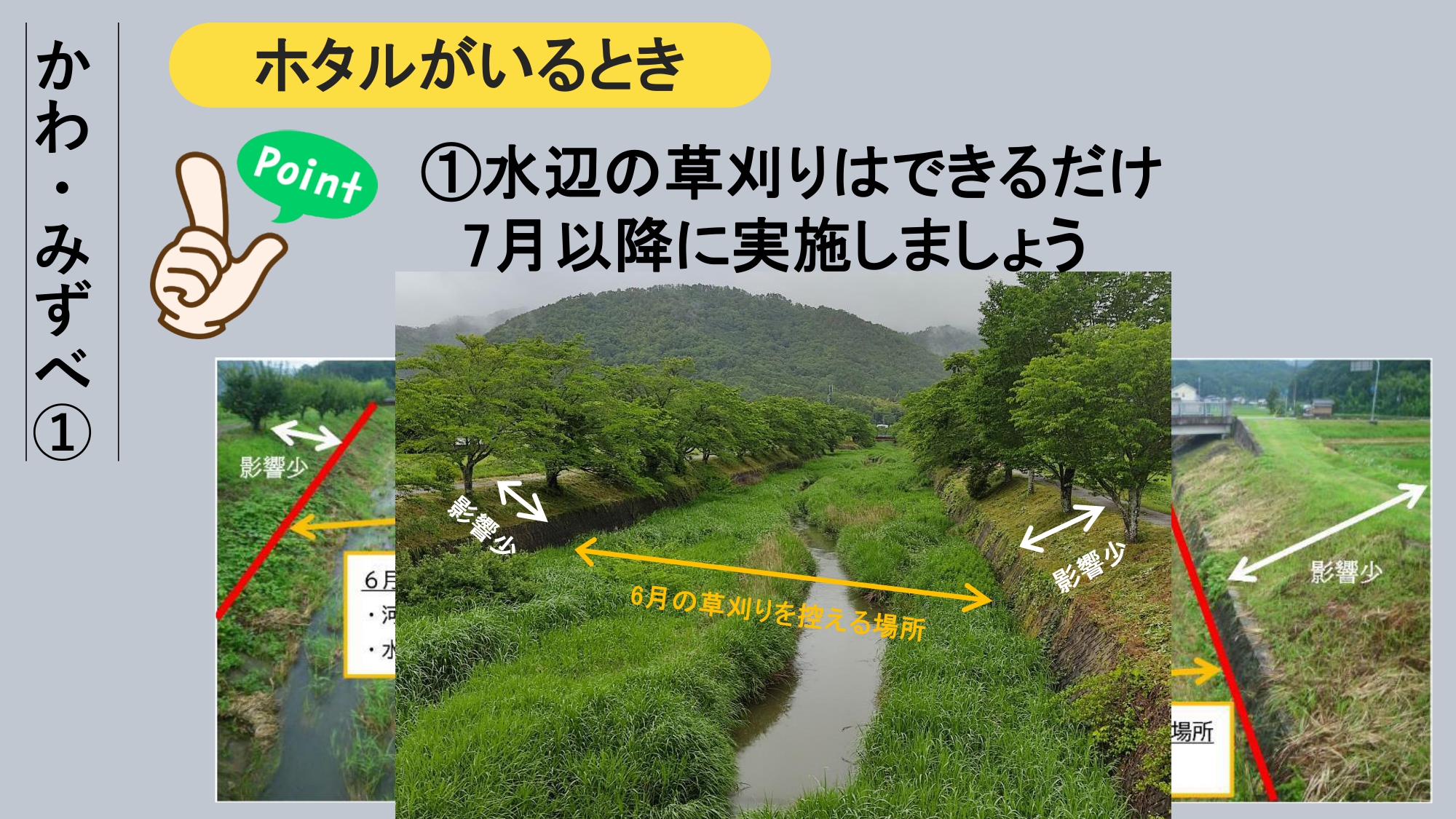 エコアップ12について