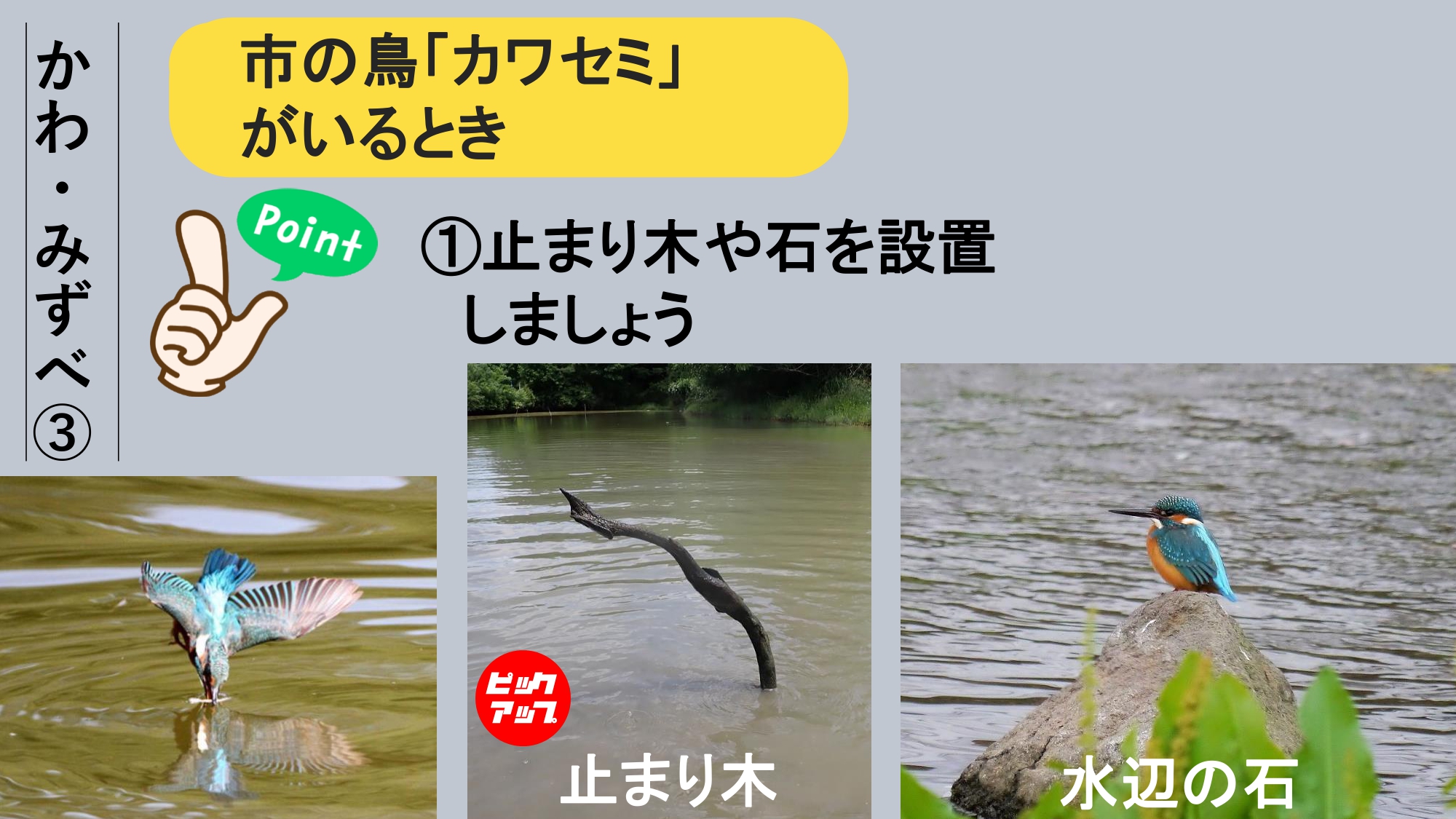 エコアップ12について