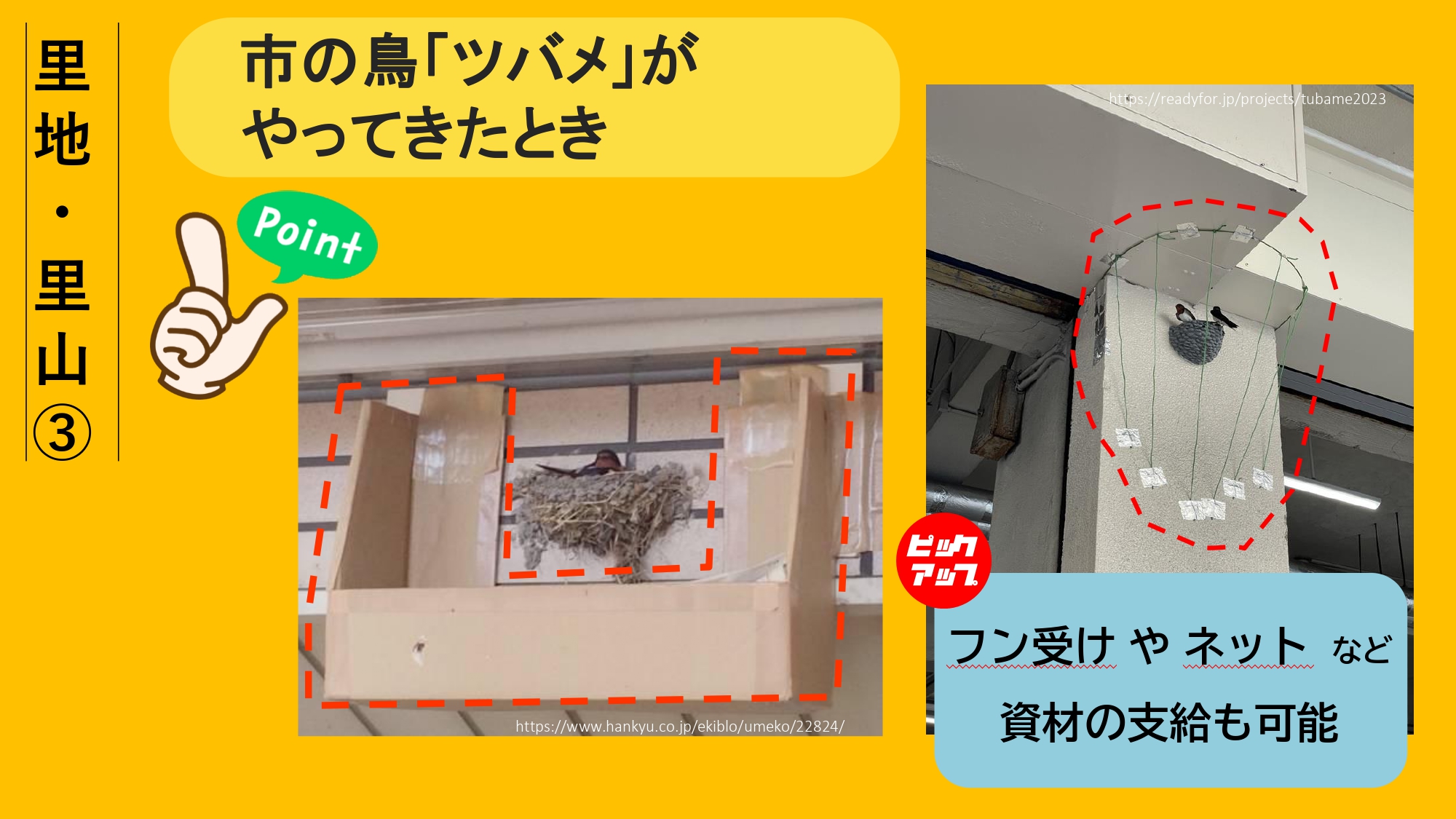 エコアップ12について