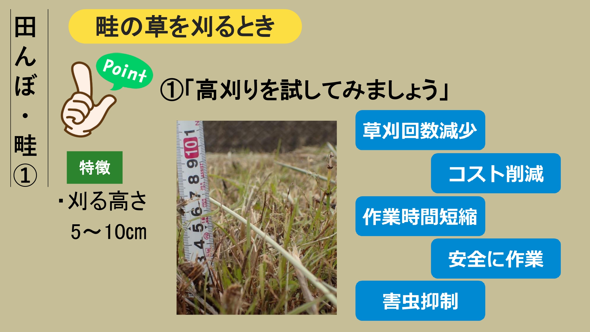 エコアップ12について