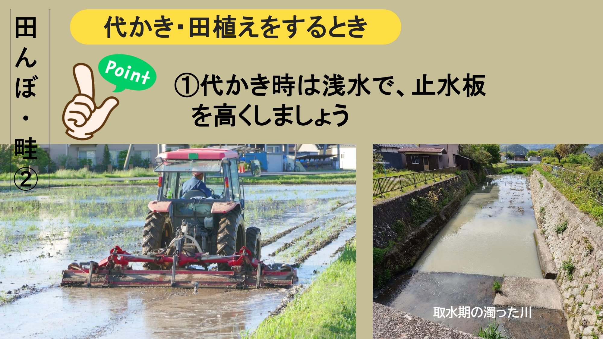 エコアップ12について