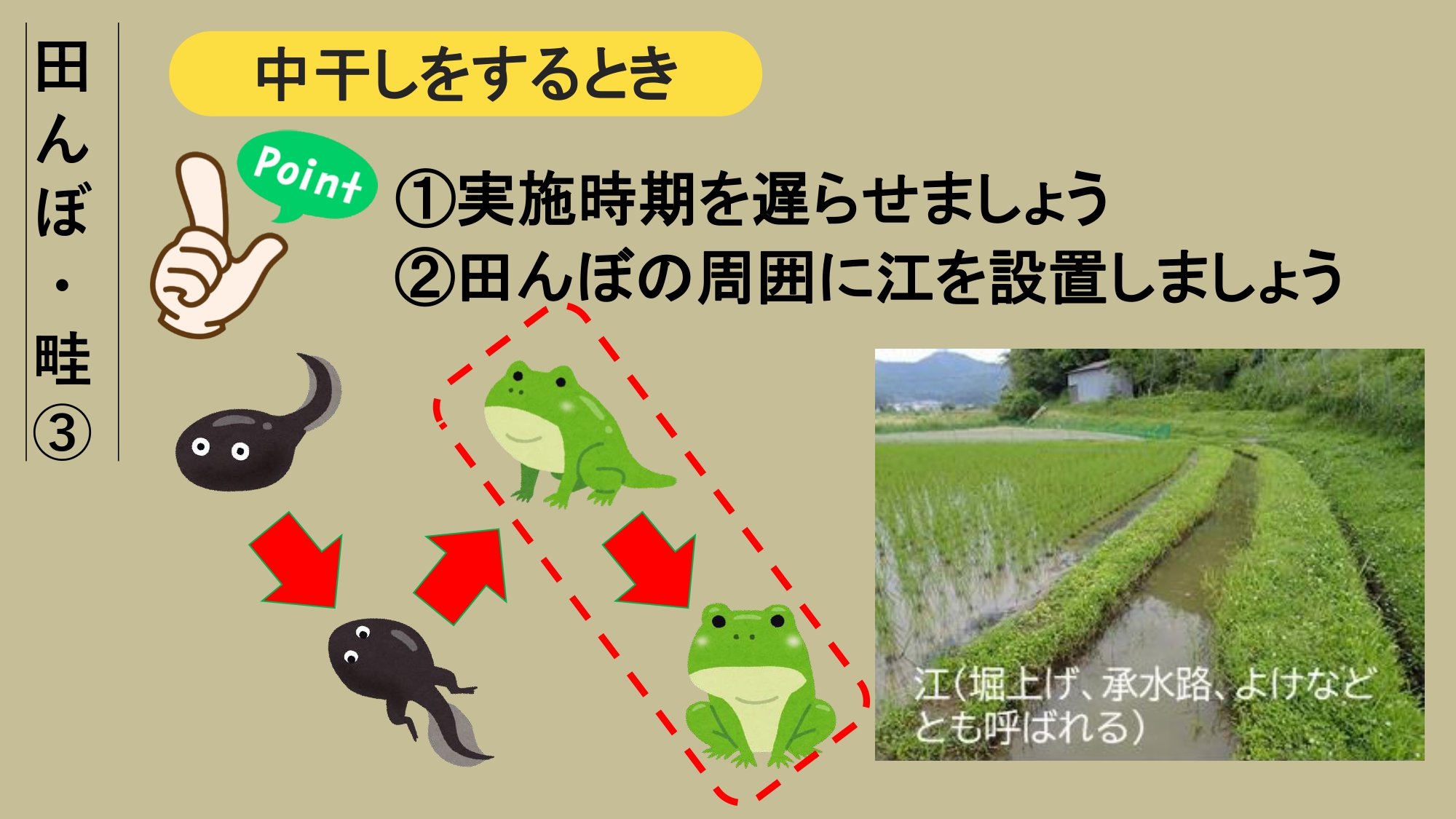 エコアップ12について