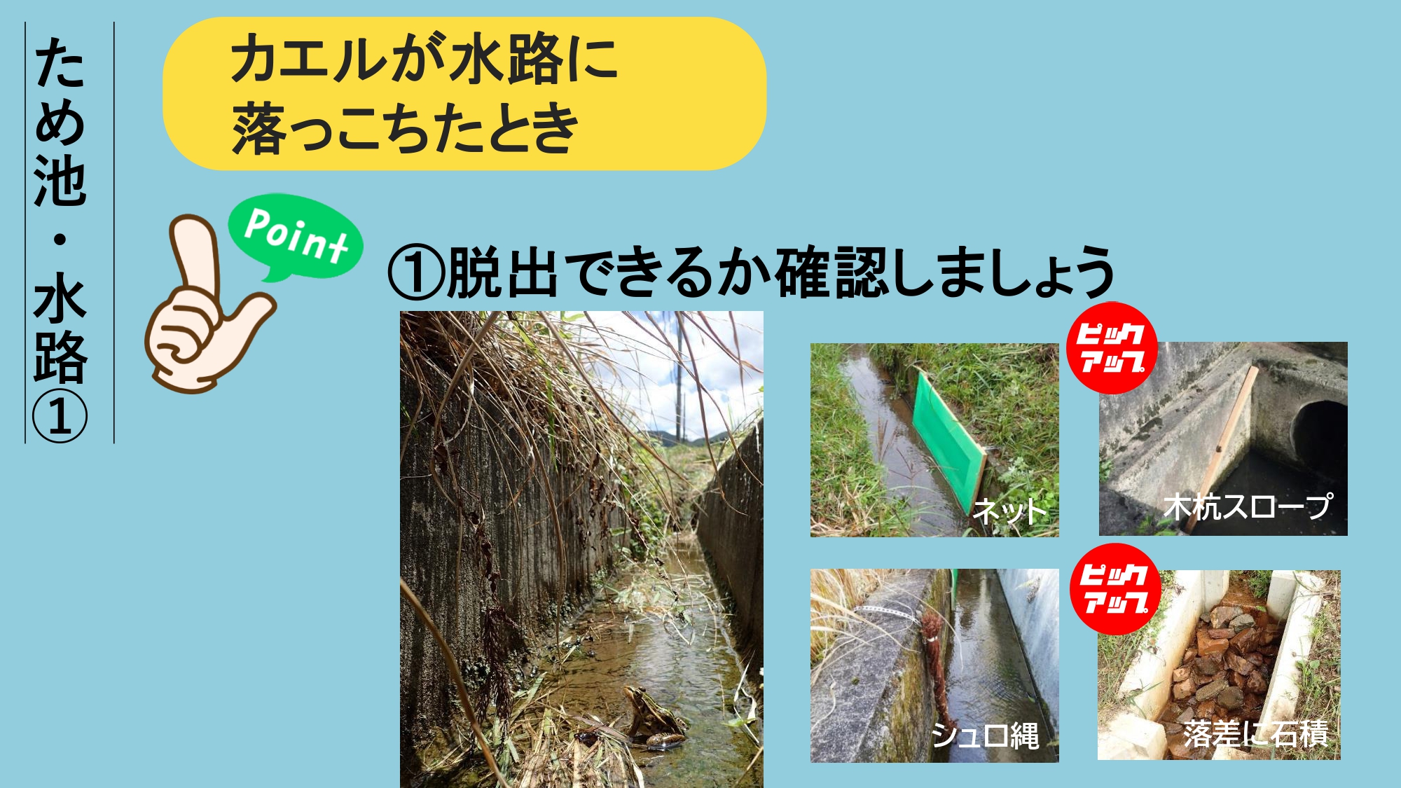 エコアップ12について