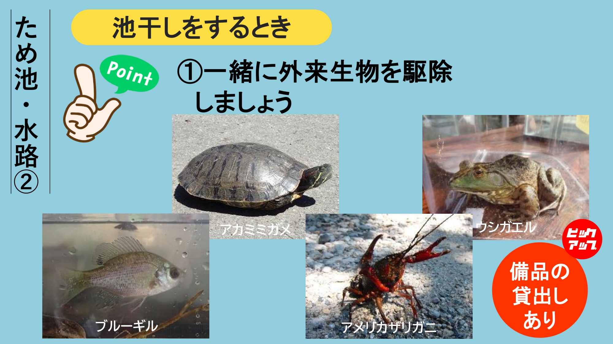 エコアップ12について