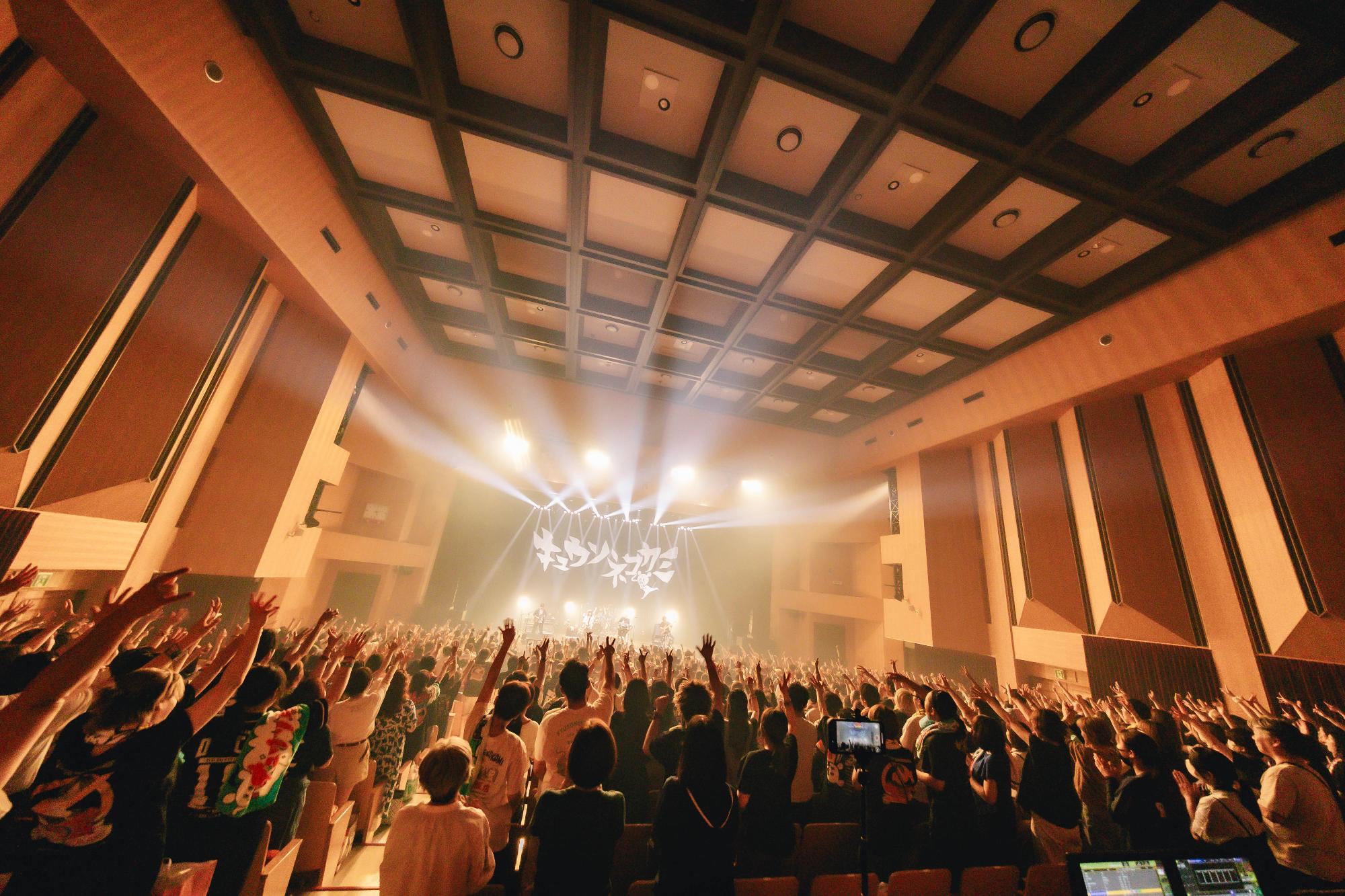 キュウソネコカミのライブの様子