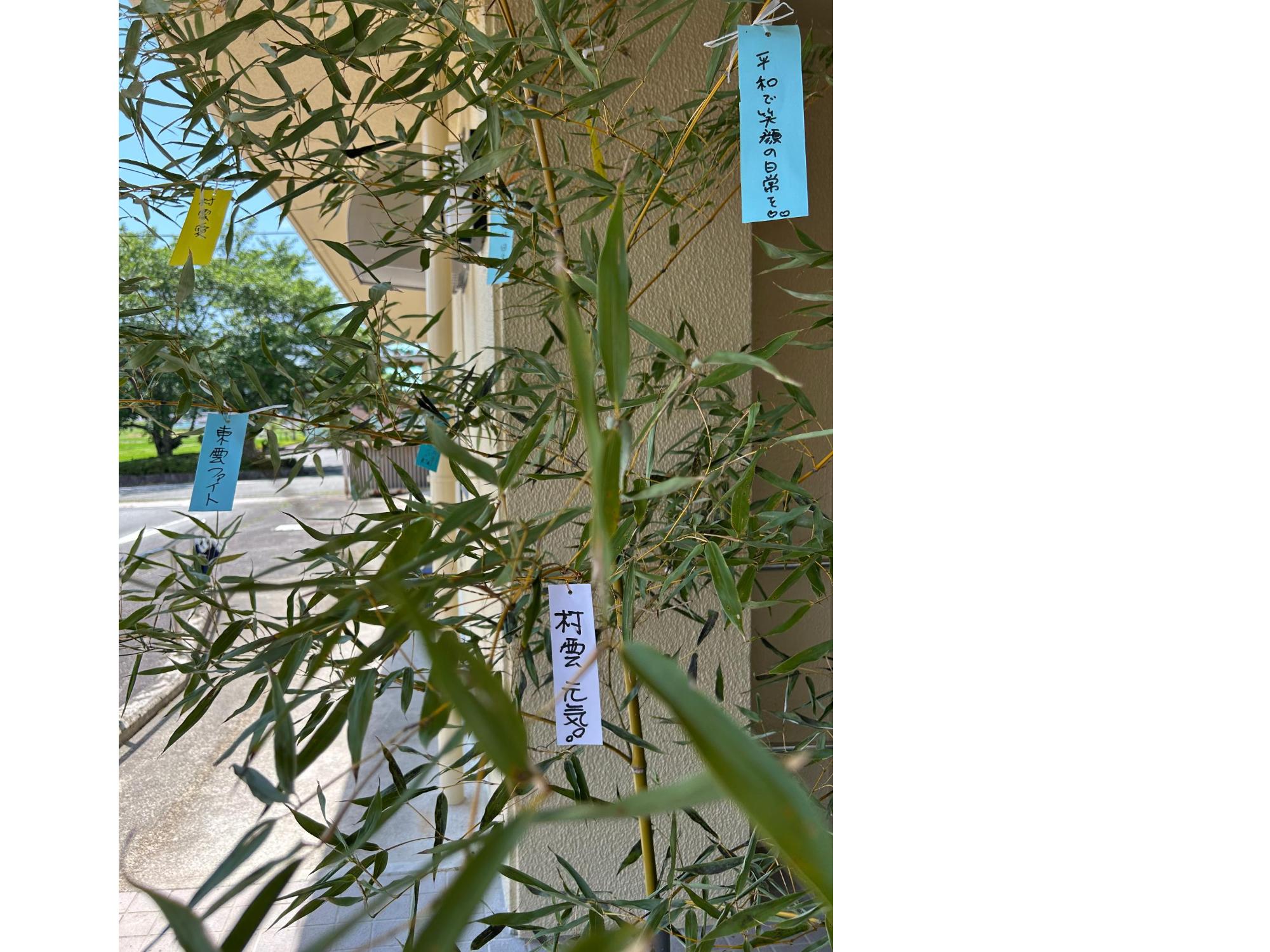 東雲コミュニティーセンターお披露目式の様子 笹飾り