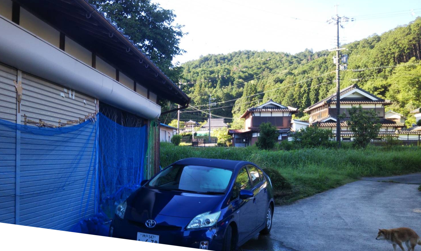 車庫の中にツバメ、車は外