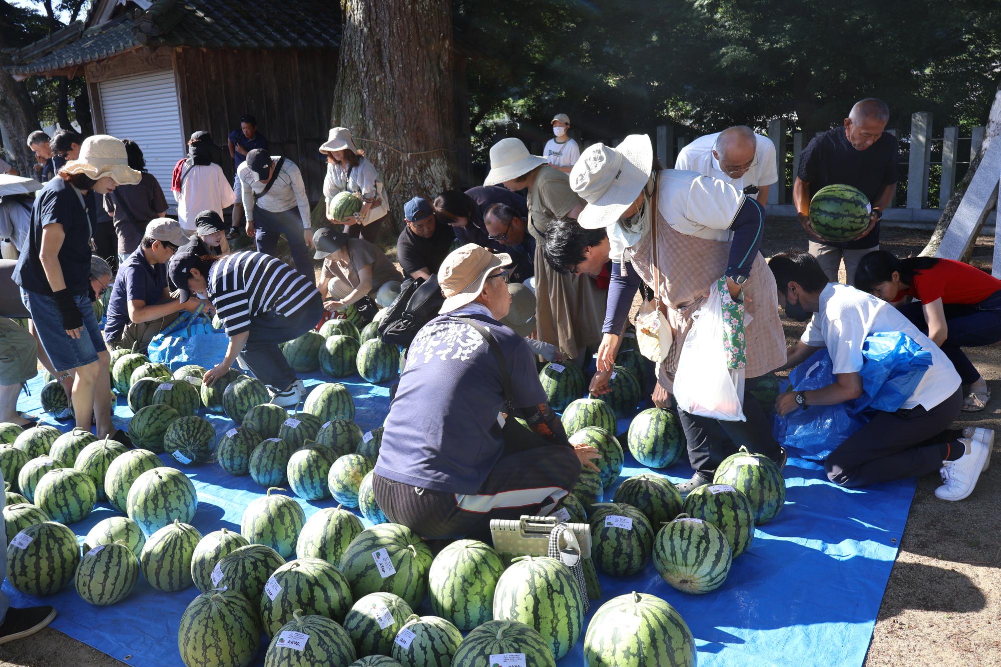 スイカ販売の様子