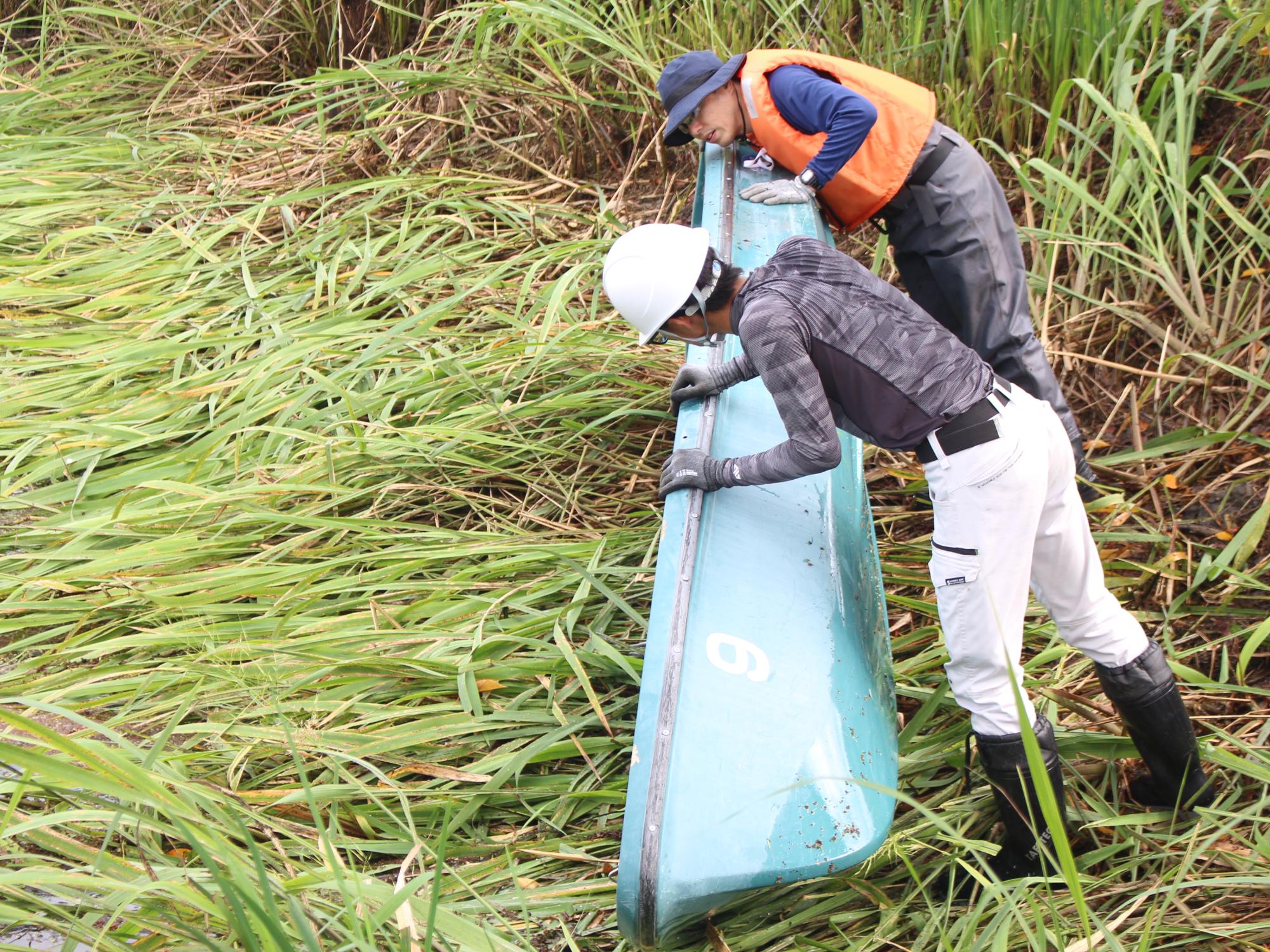 ヒシ取りの様子