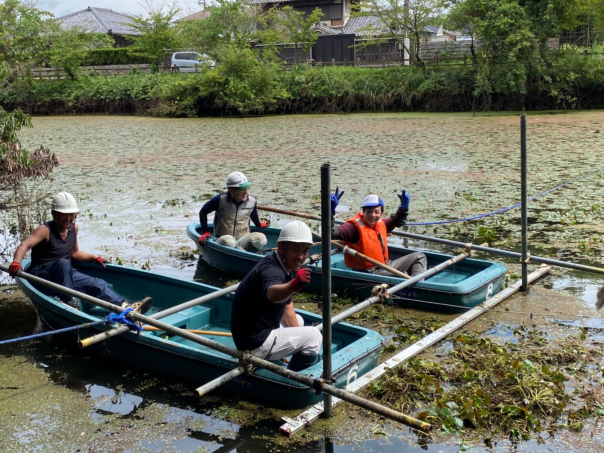ヒシ取りの様子