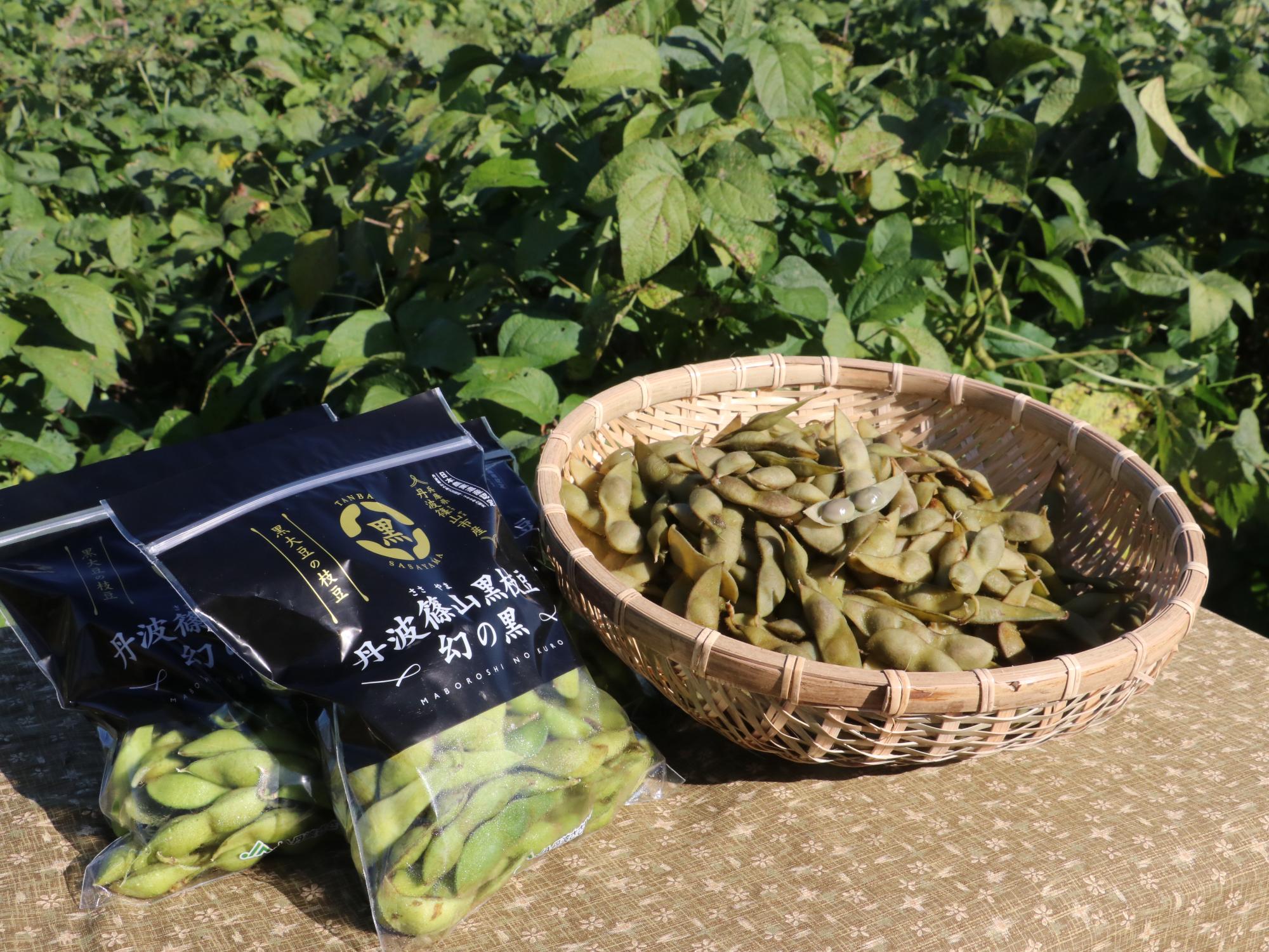 世界の皆さん！丹波篠山黒枝豆の販売解禁です！（市長日記R7.10.10