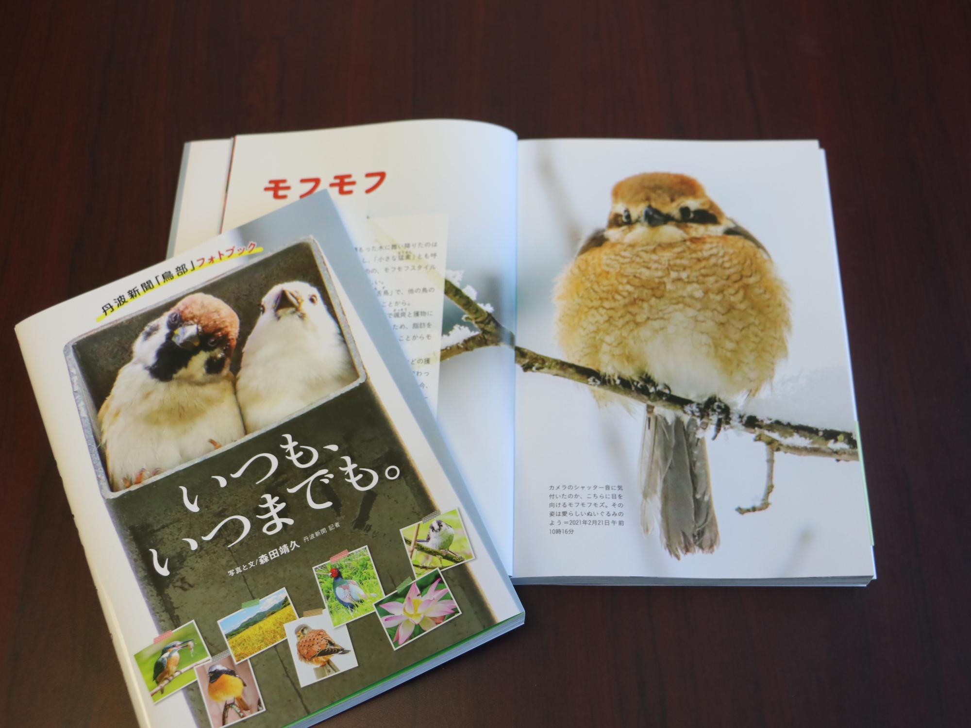 フォトブック「いつも、いつまでも」