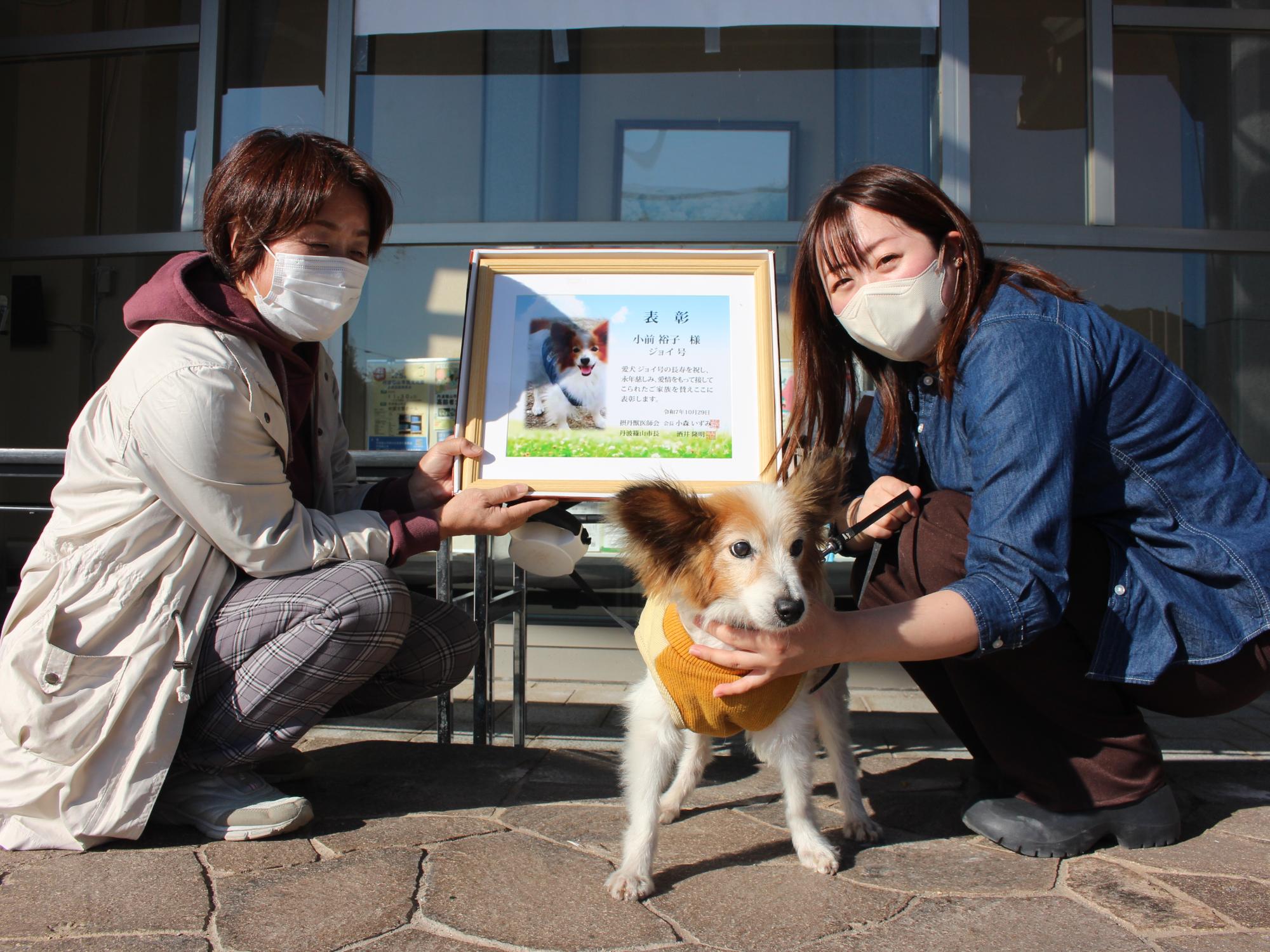 長寿犬表彰式典の様子