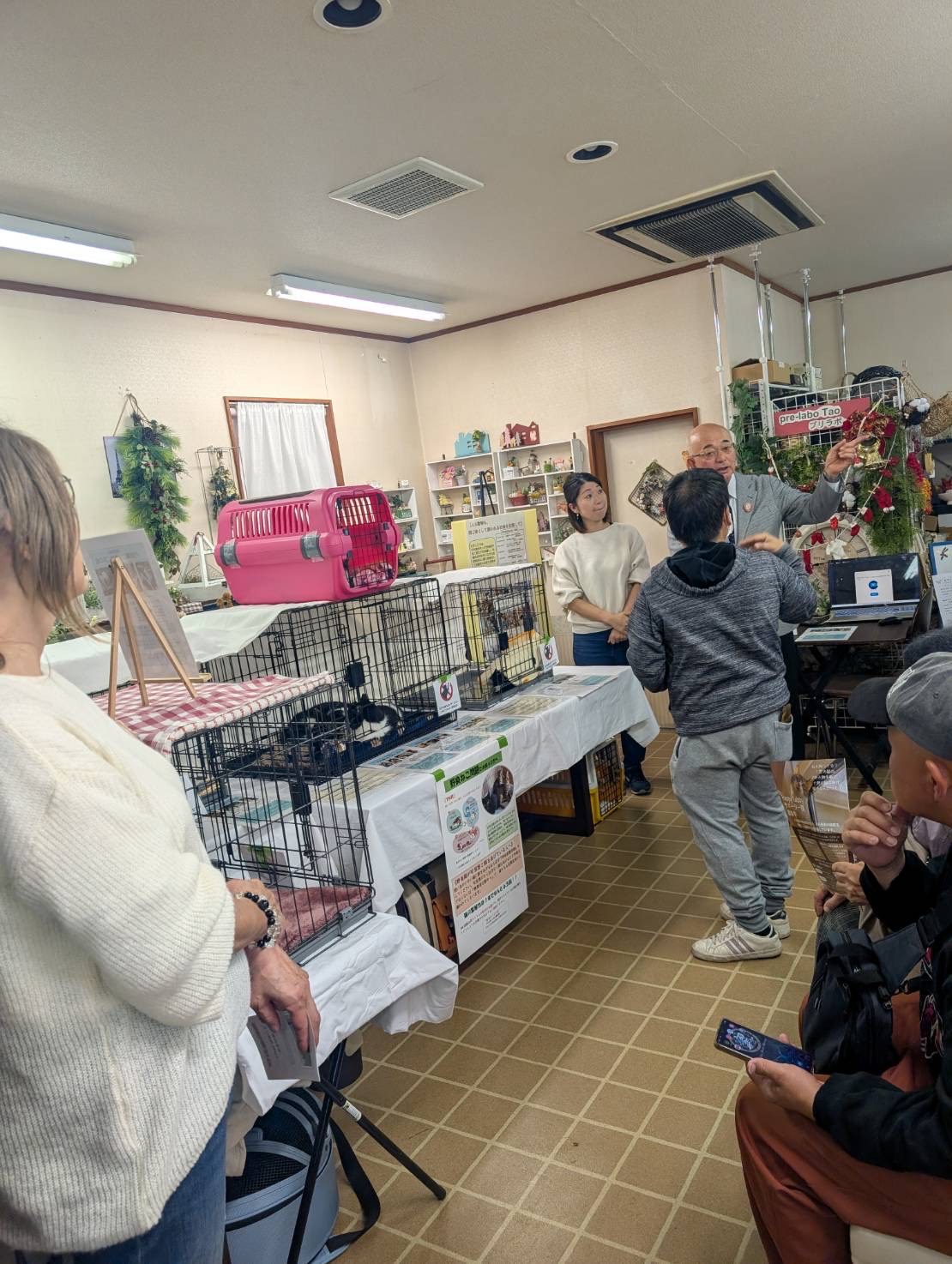 保護猫の譲渡会の様子
