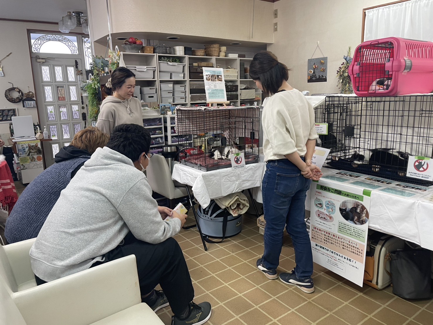 保護猫の譲渡会の様子