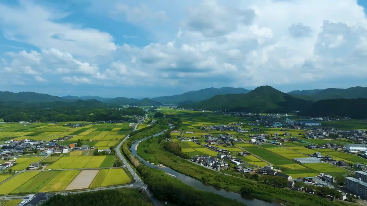 丹波焼の取組み発表スライド