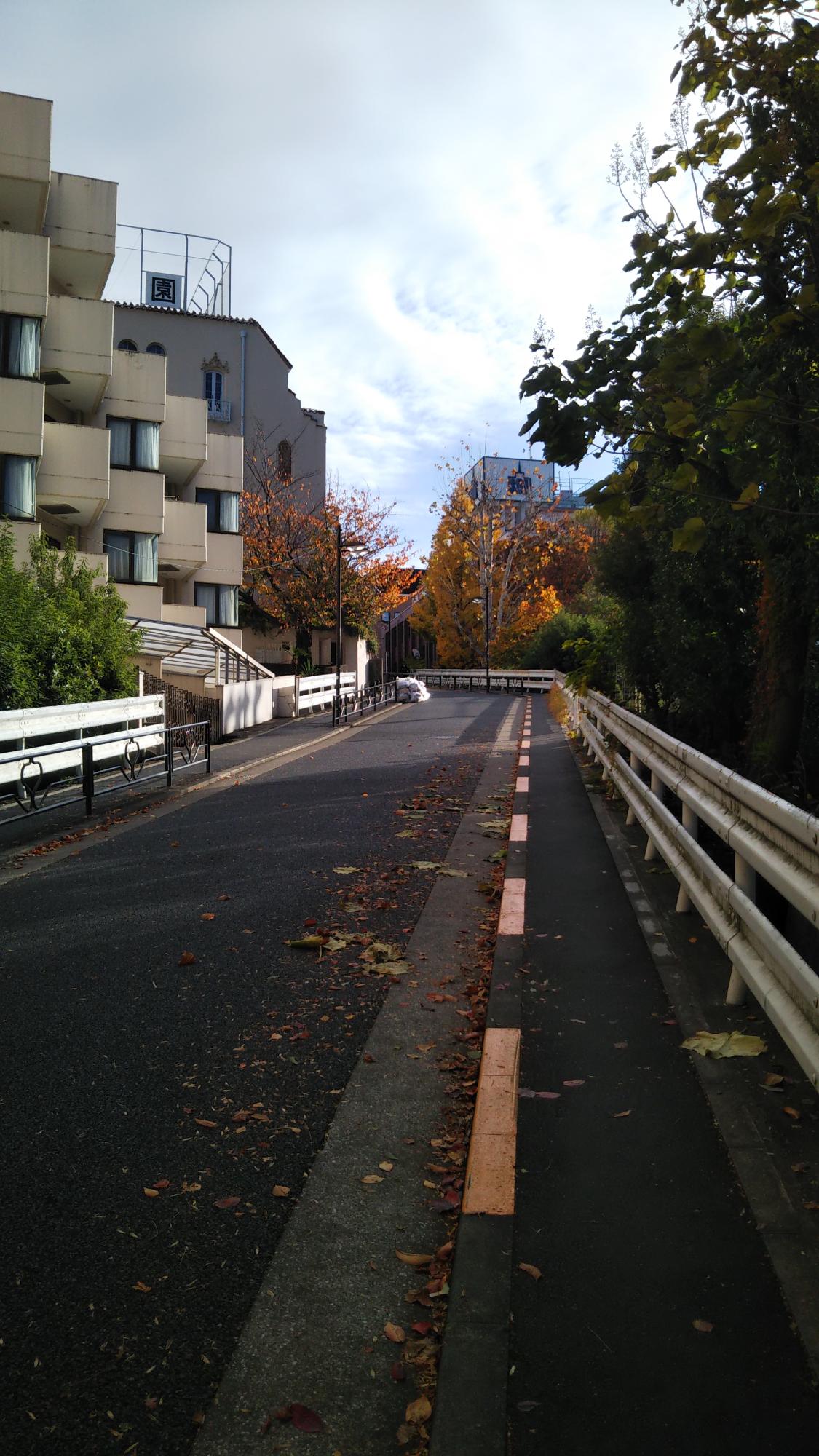 市長の学生時代の下宿先に向かう坂