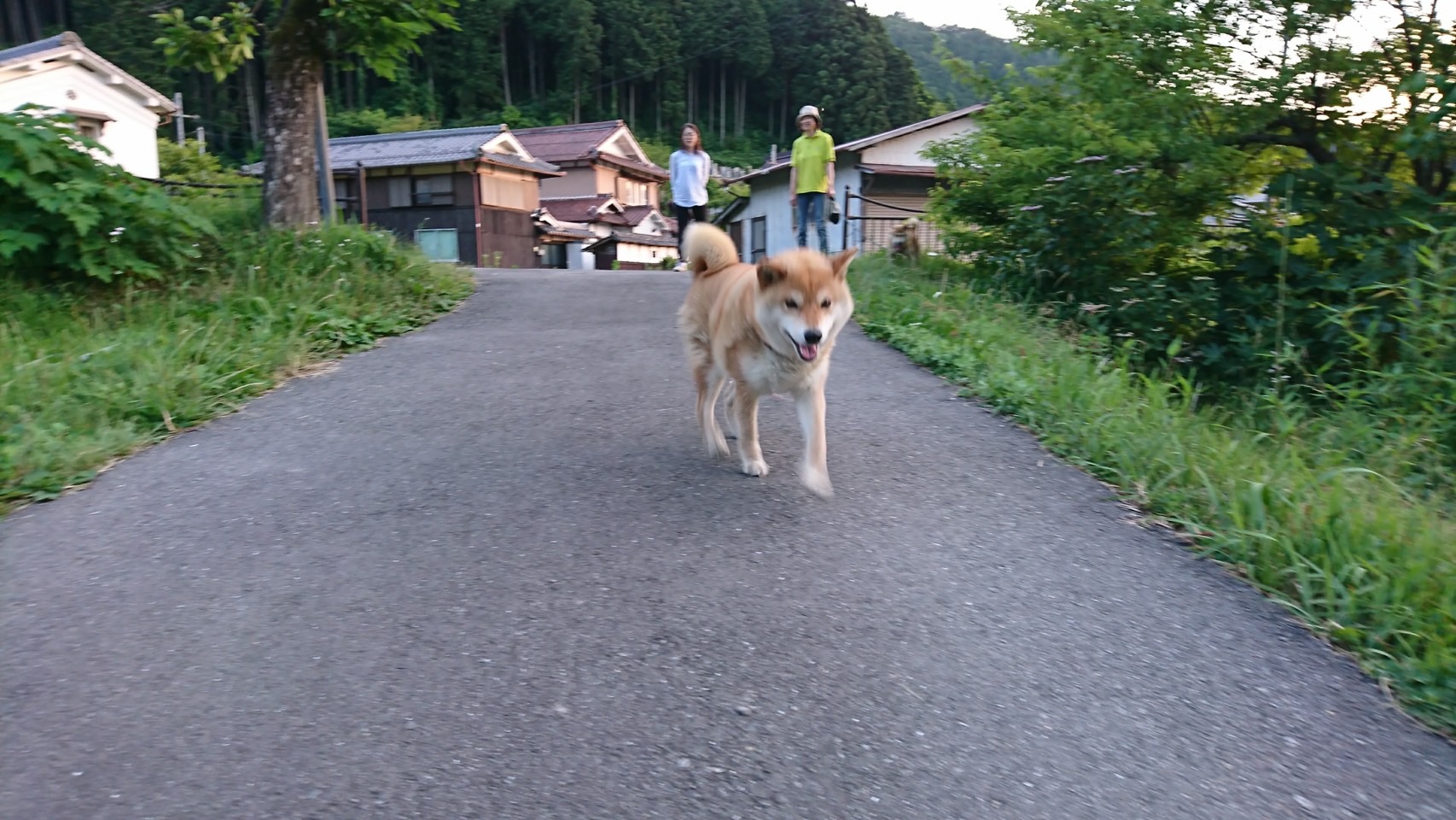 市長の愛犬アツ