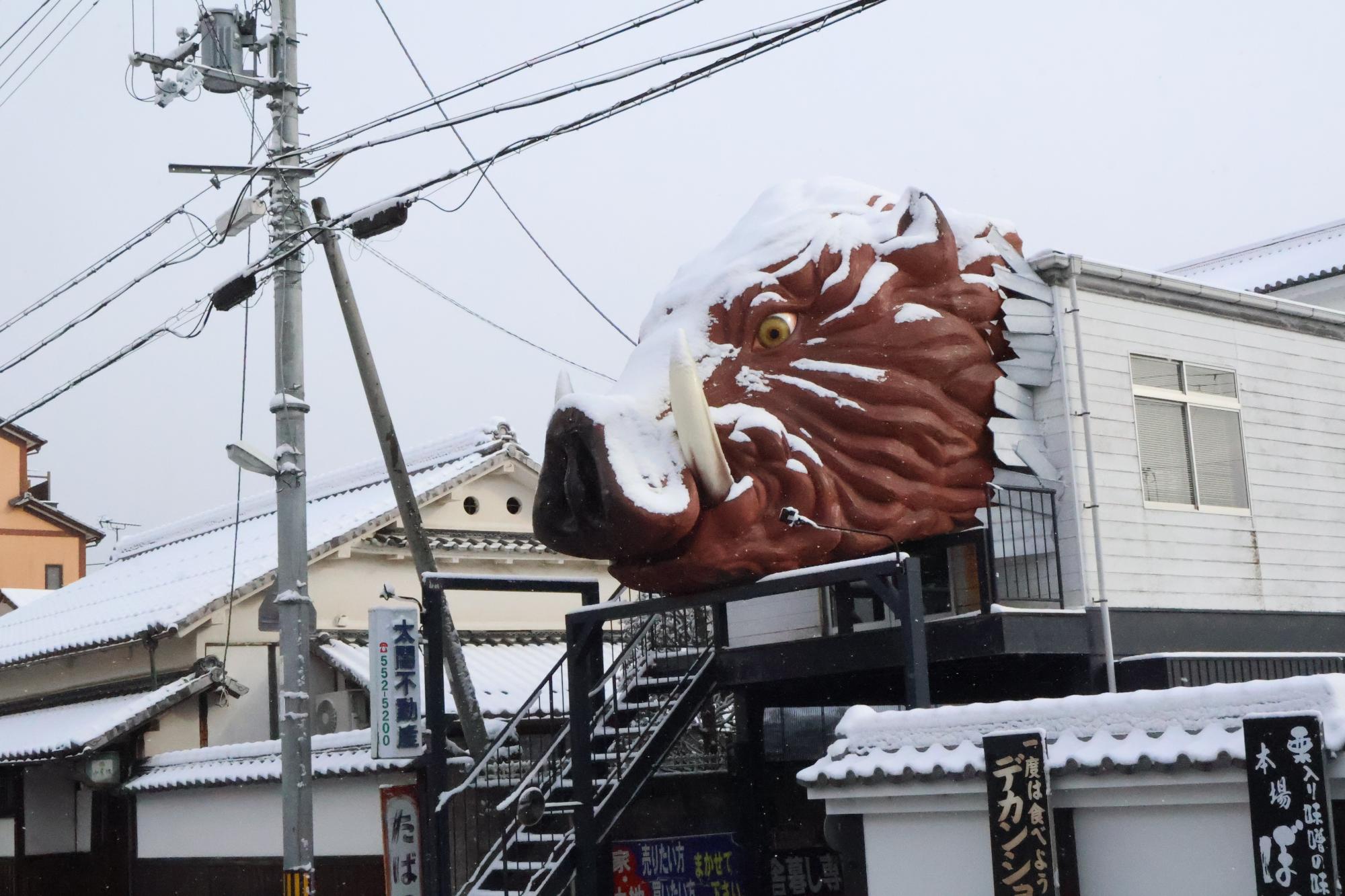 丹波篠山の雪景色