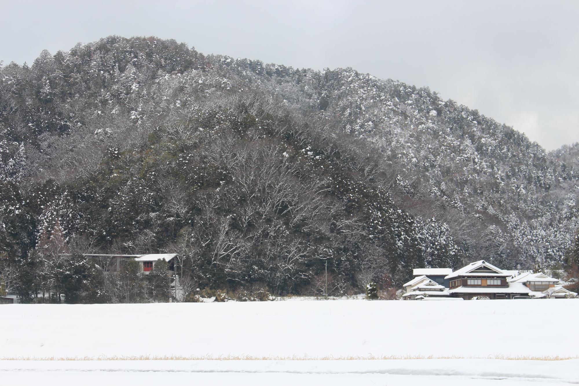 丹波篠山の雪景色