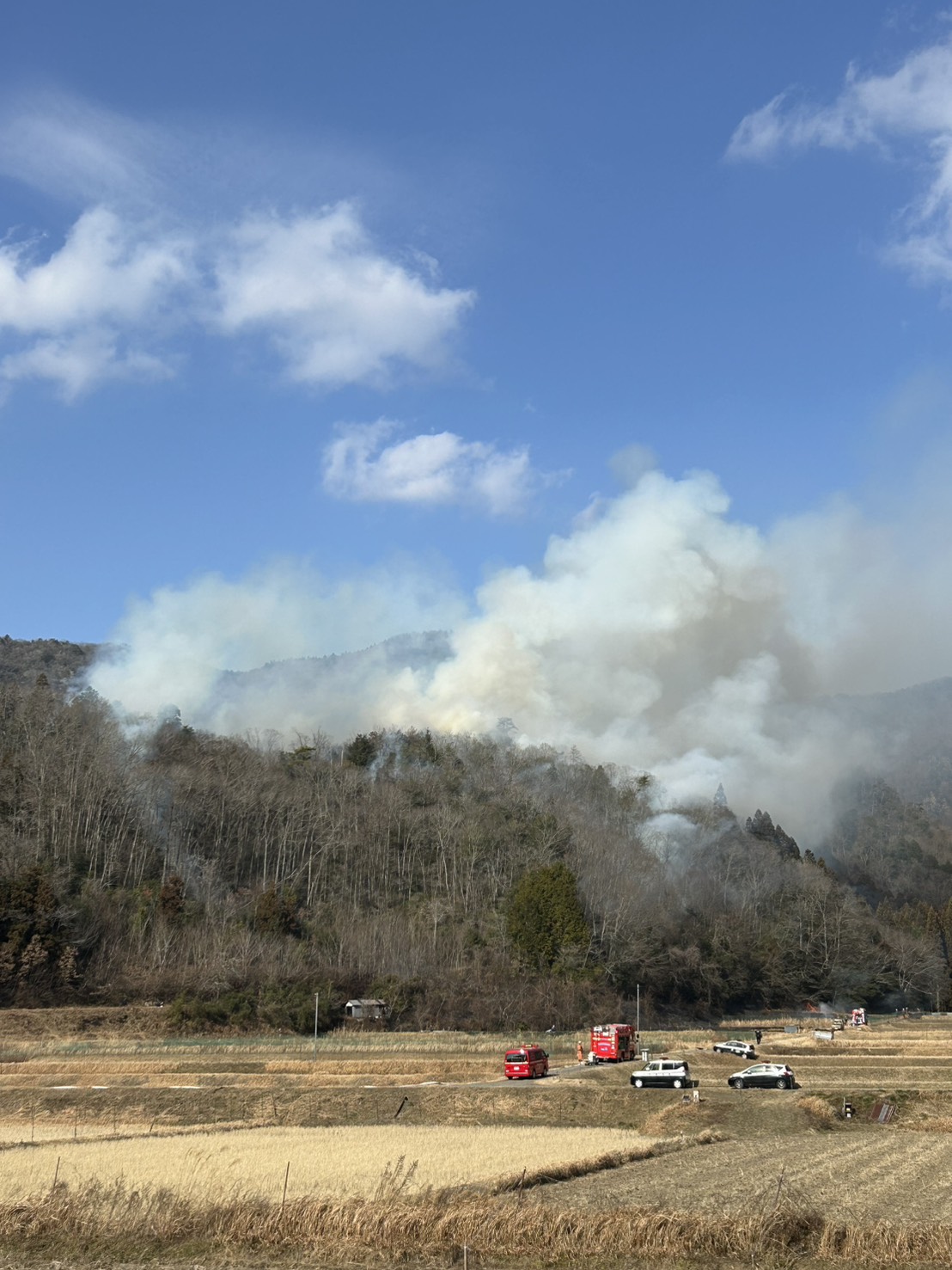 大芋地区での林野火災