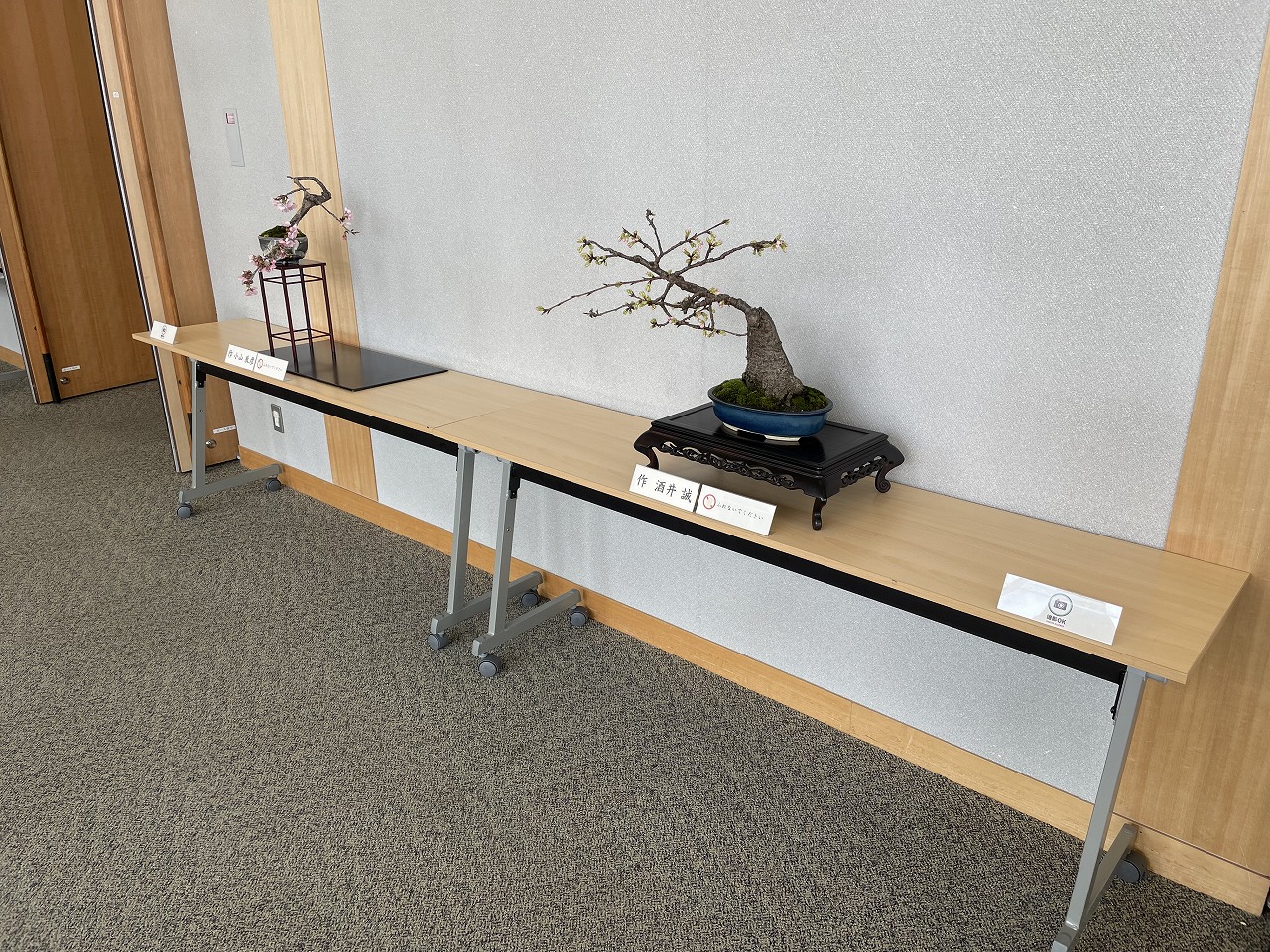 丹波篠山桜フォーラムでの盆栽展示