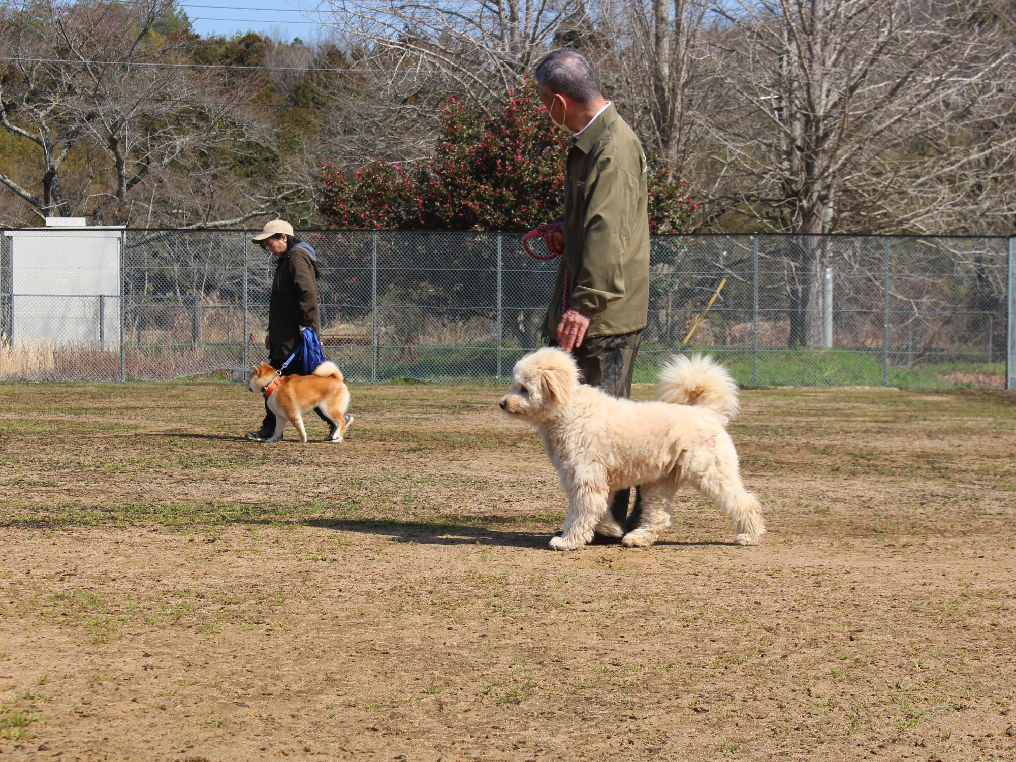 モンキードック認定書交付式の様子