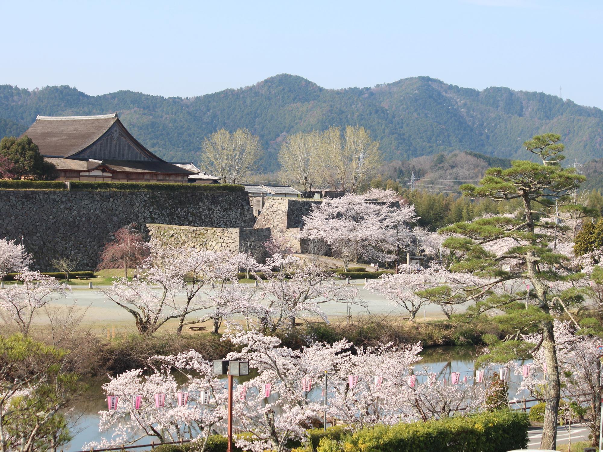 市長室からの景色