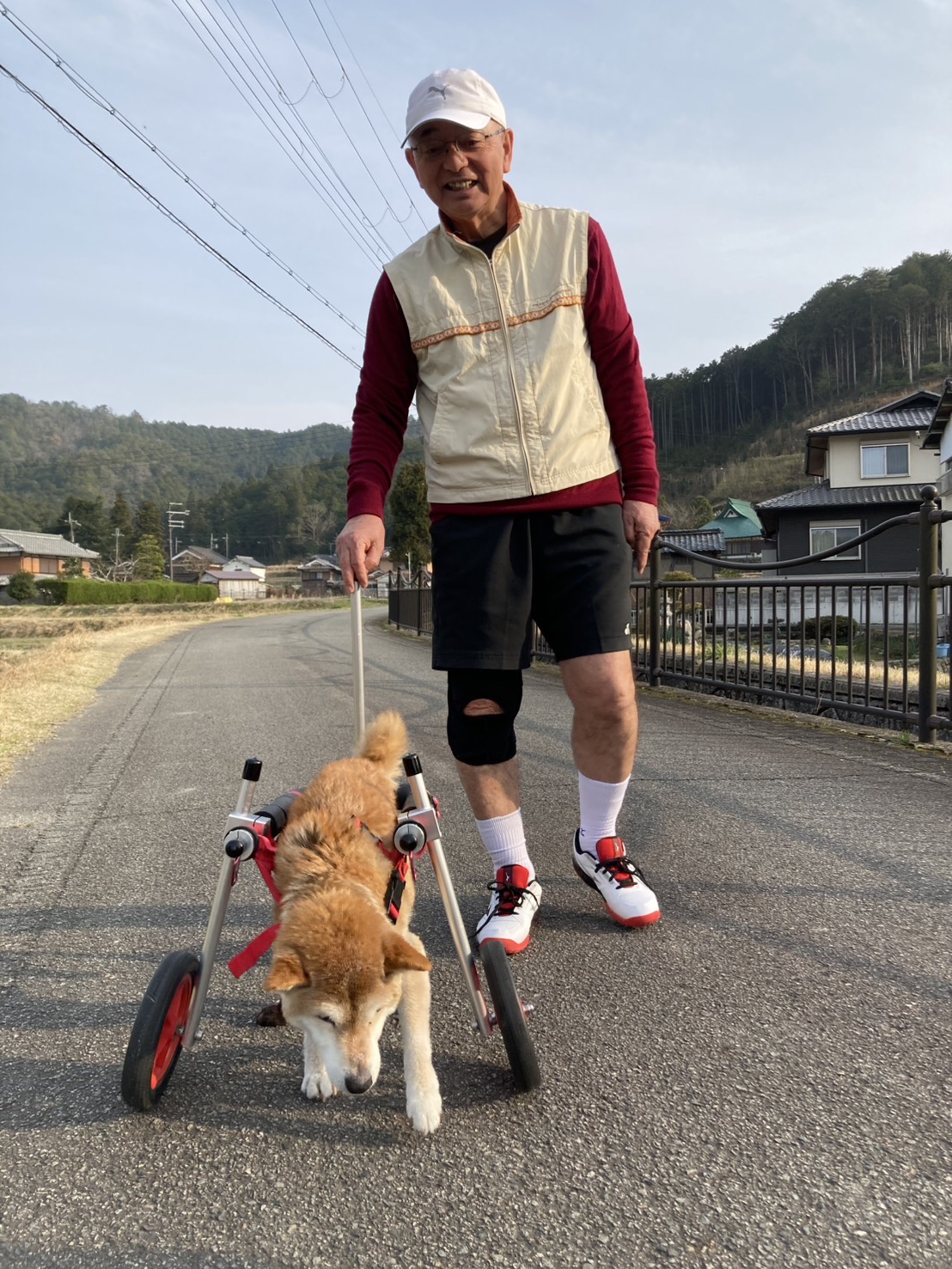 アッちゃんの散歩の様子