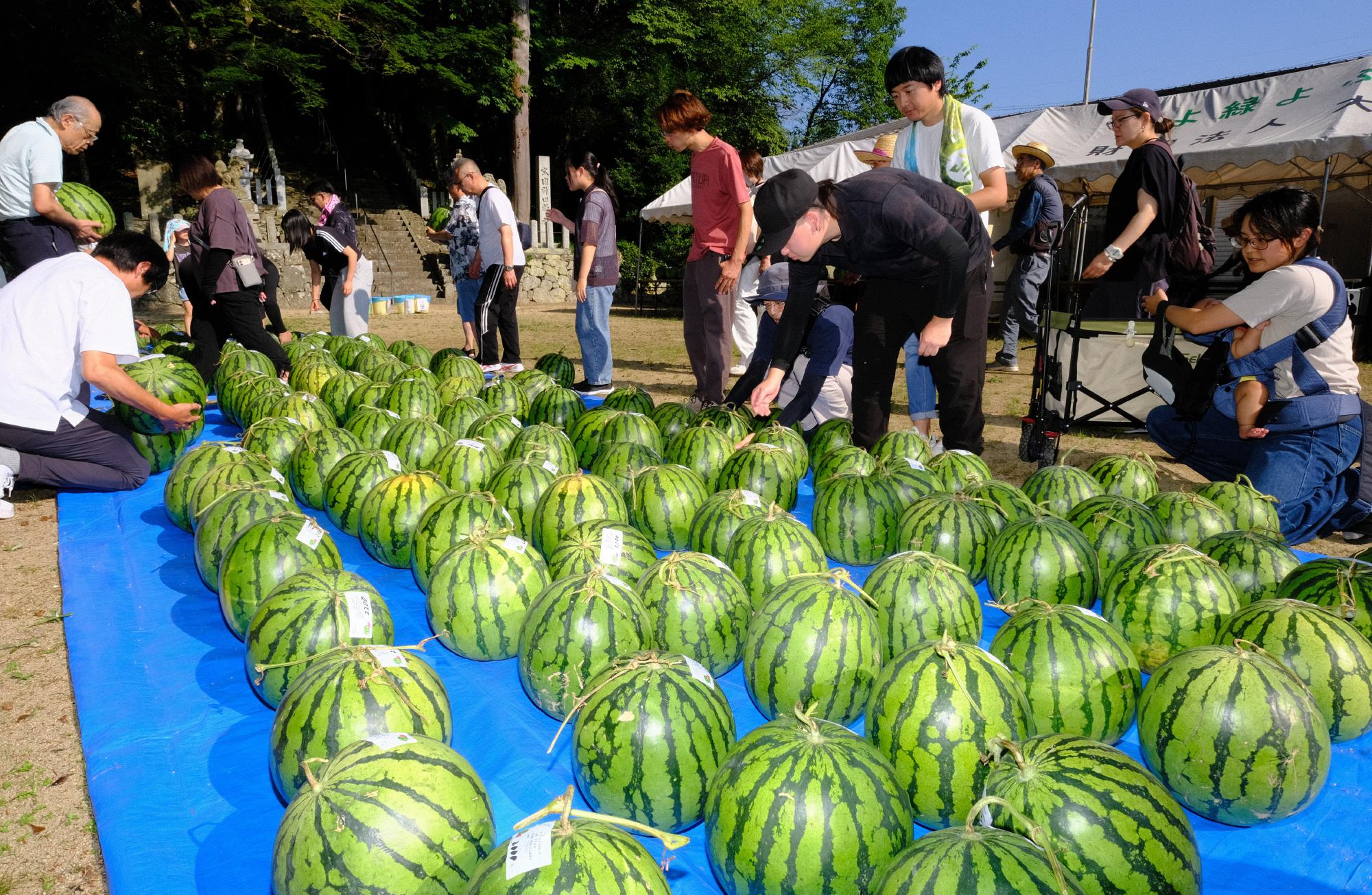 スイカ祭りの様子