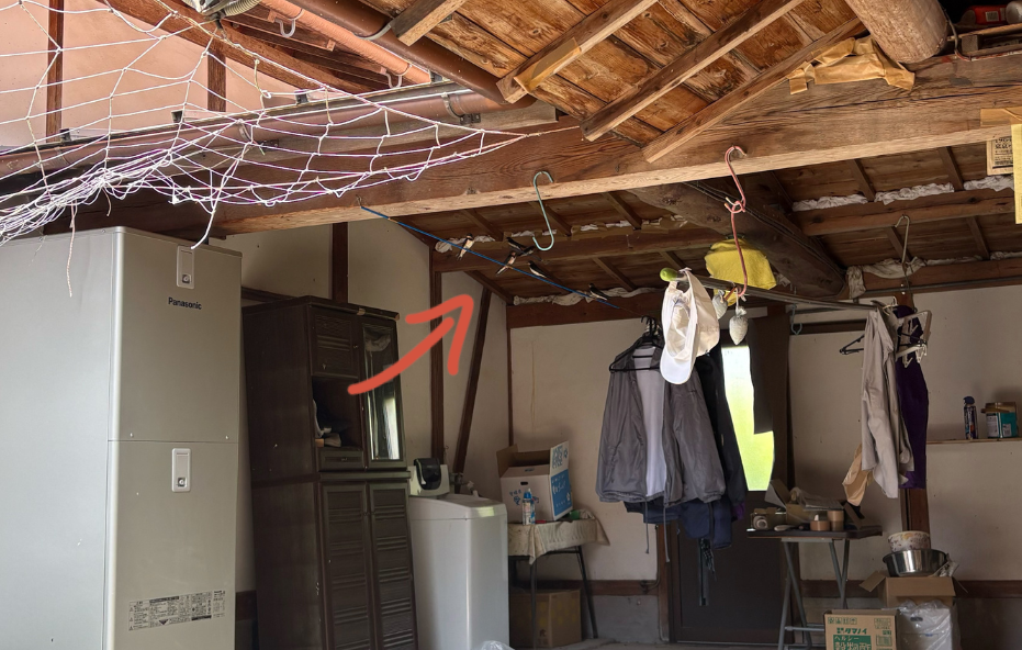 納屋のツバメの様子