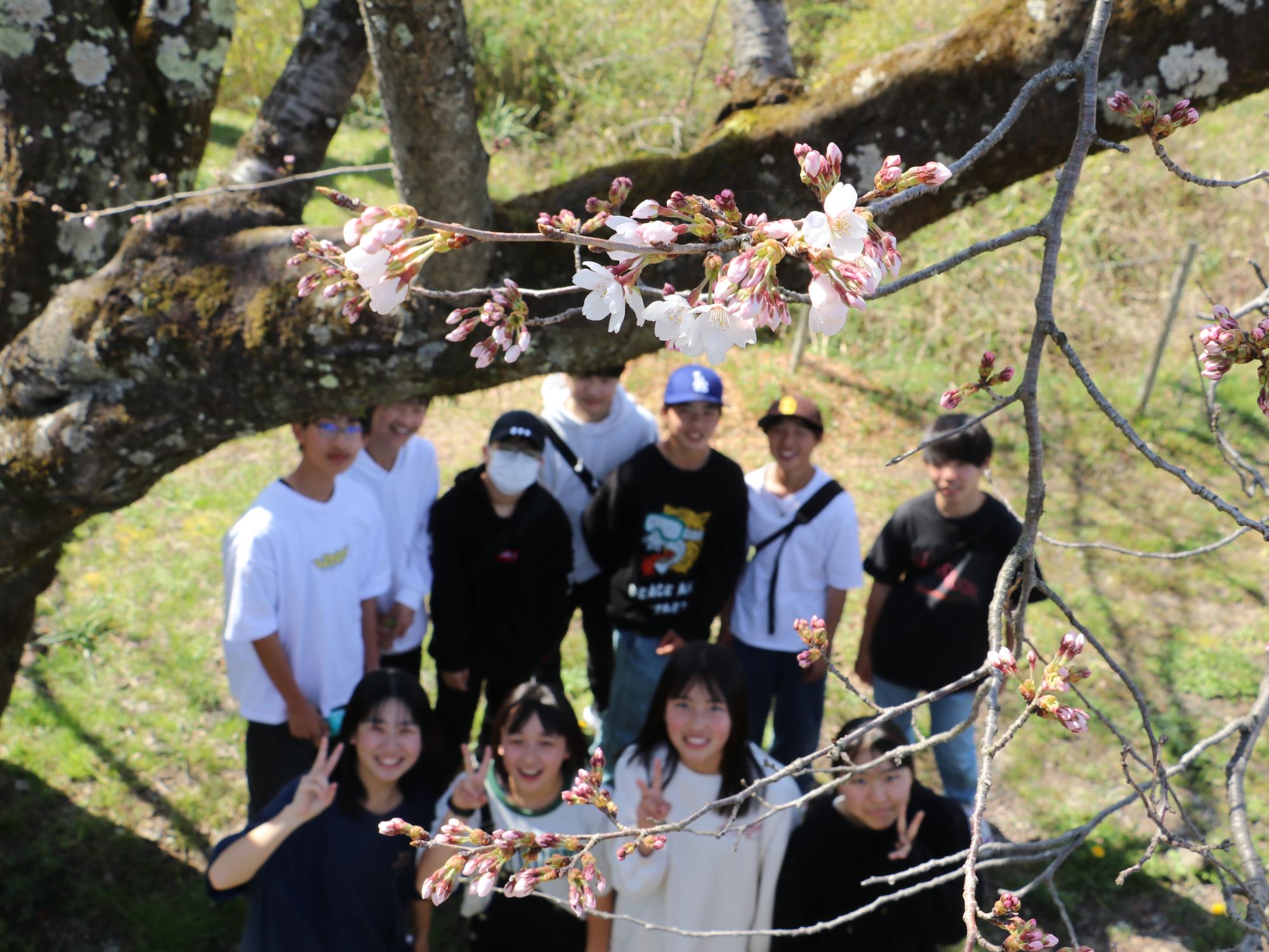 桜と桜を見に来ていた中学生たち