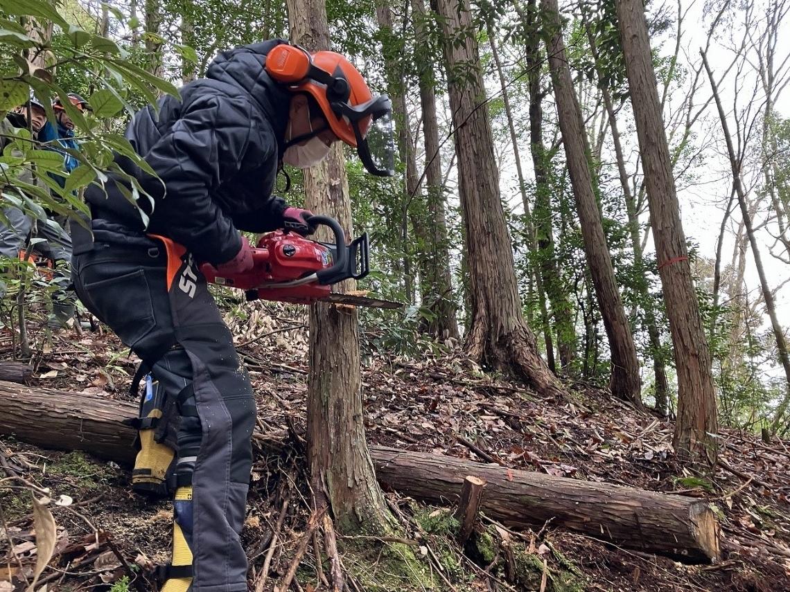 チェーンソーで木を伐採している