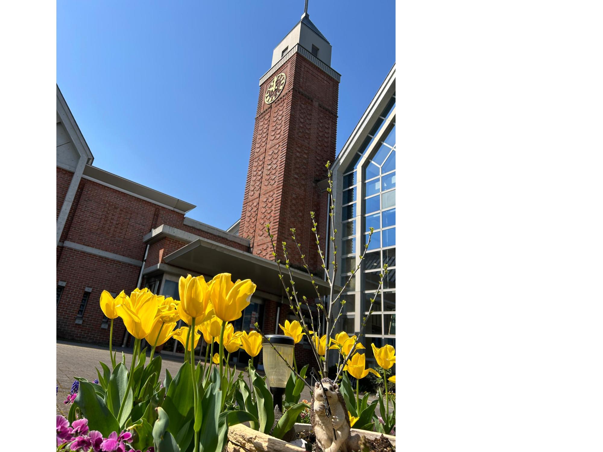 屋外で下の画角から撮った図書館