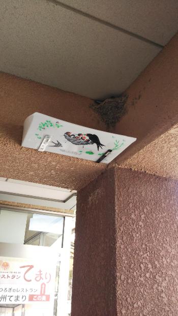 パーキングエリアの柱につばめが巣を作っていてその下にヒナが落下した時に受けとめる箱が設置してある