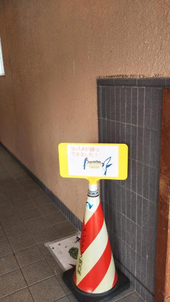 カラーコーンにツバメが帰ってきましたというプレートがある。