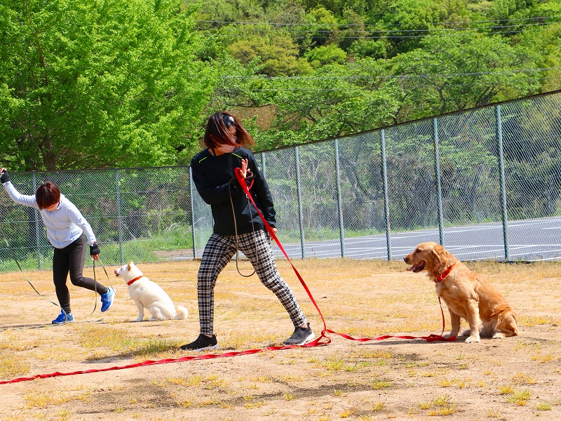 飼主が追い払い犬をリードして訓練している