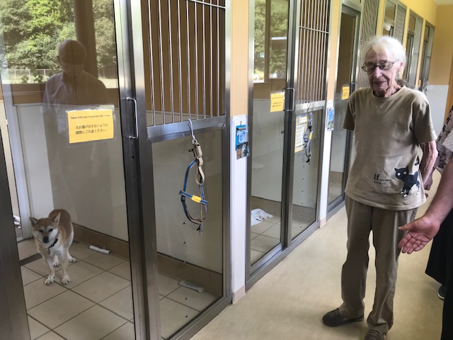 犬を保護する施設で、施設長に犬の部屋の前で説明を受けている