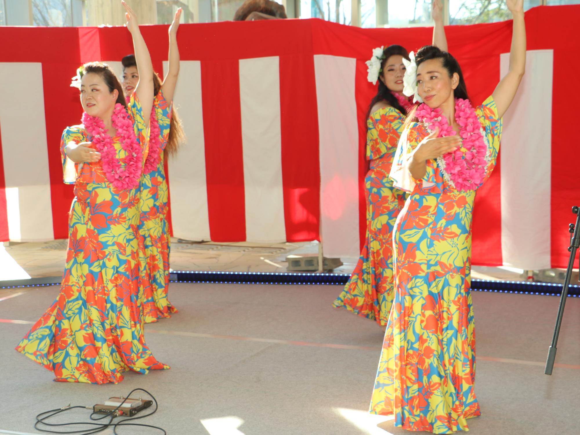 4人の女性がフラダンスを披露している