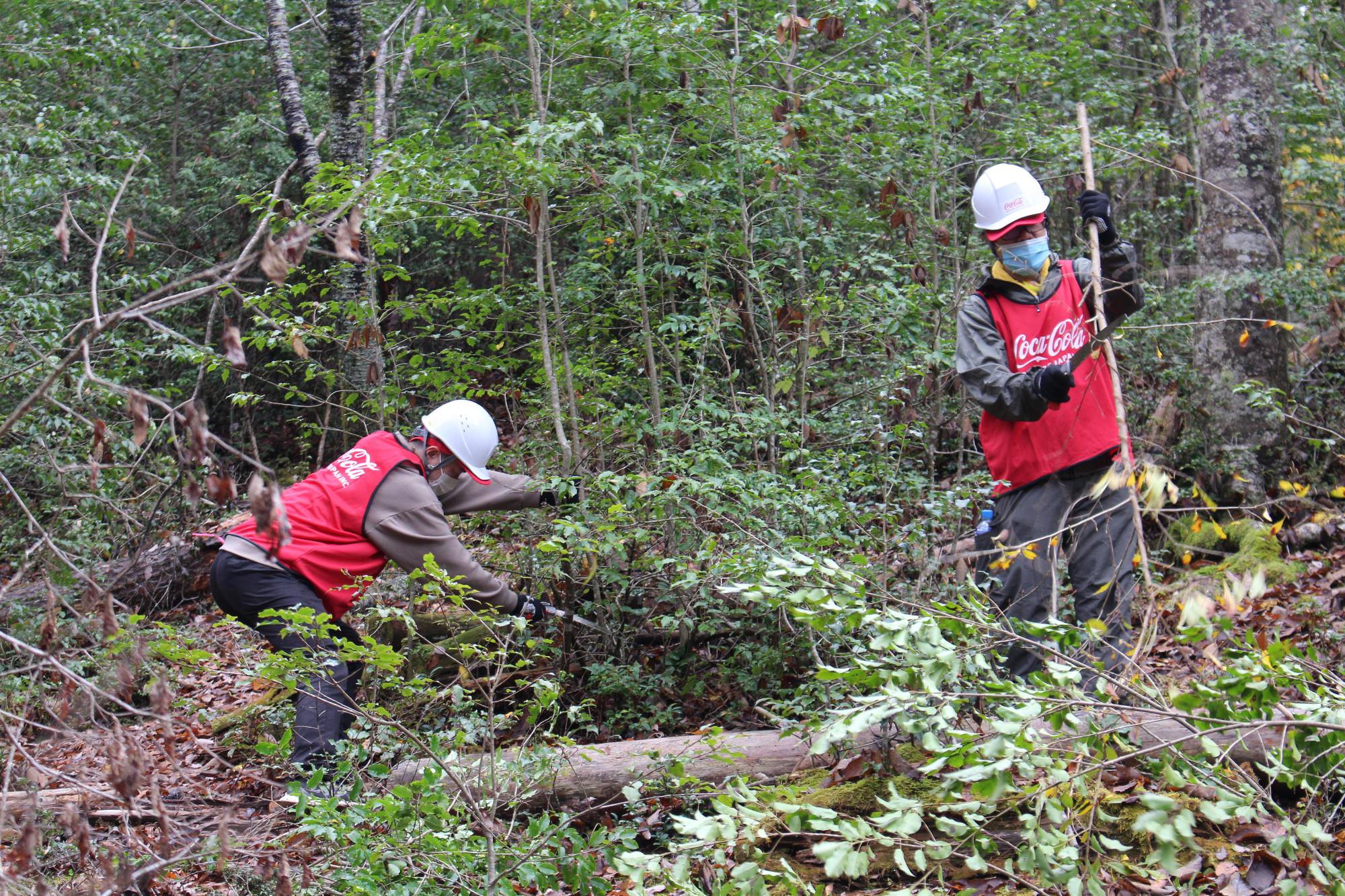 コカ・コーラの赤いビブスを着て、ヘルメットをかぶった人たちが草木を伐採している