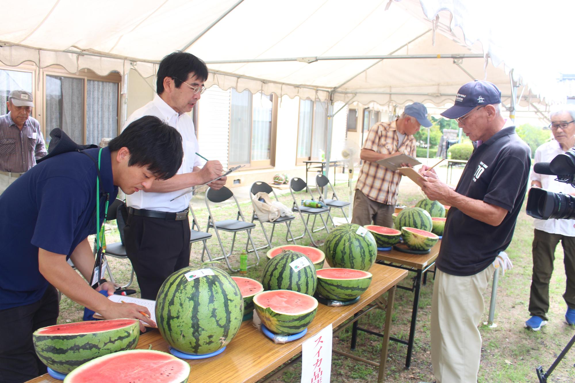 スイカ品評会の様子