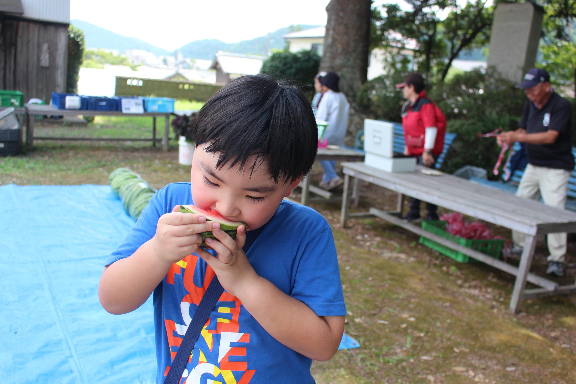 スイカを食べる男の子