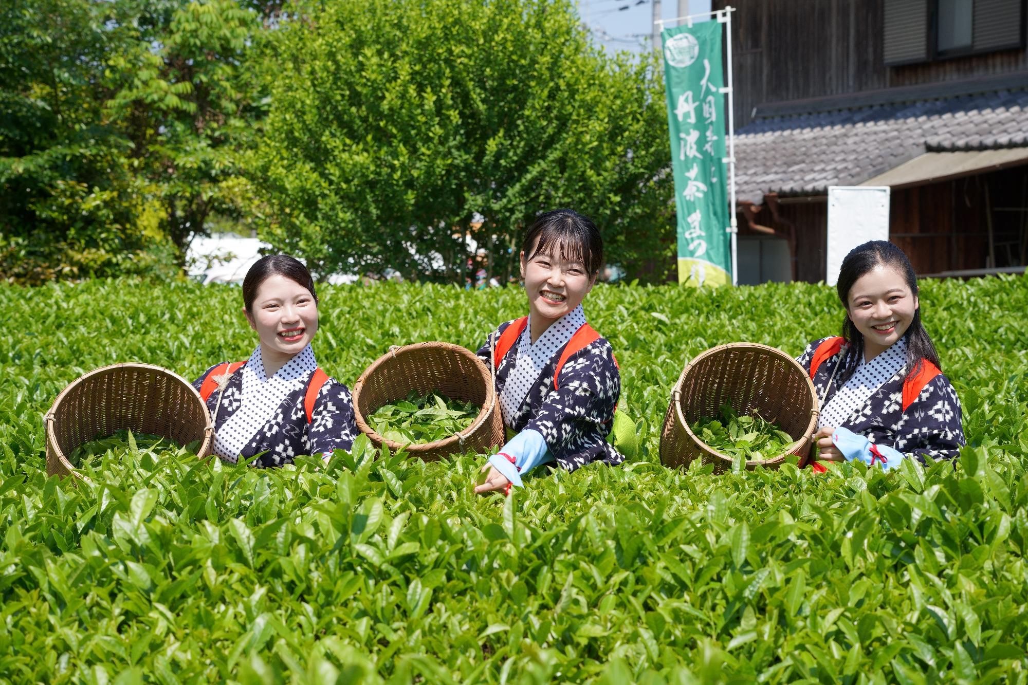 茶まつりの様子