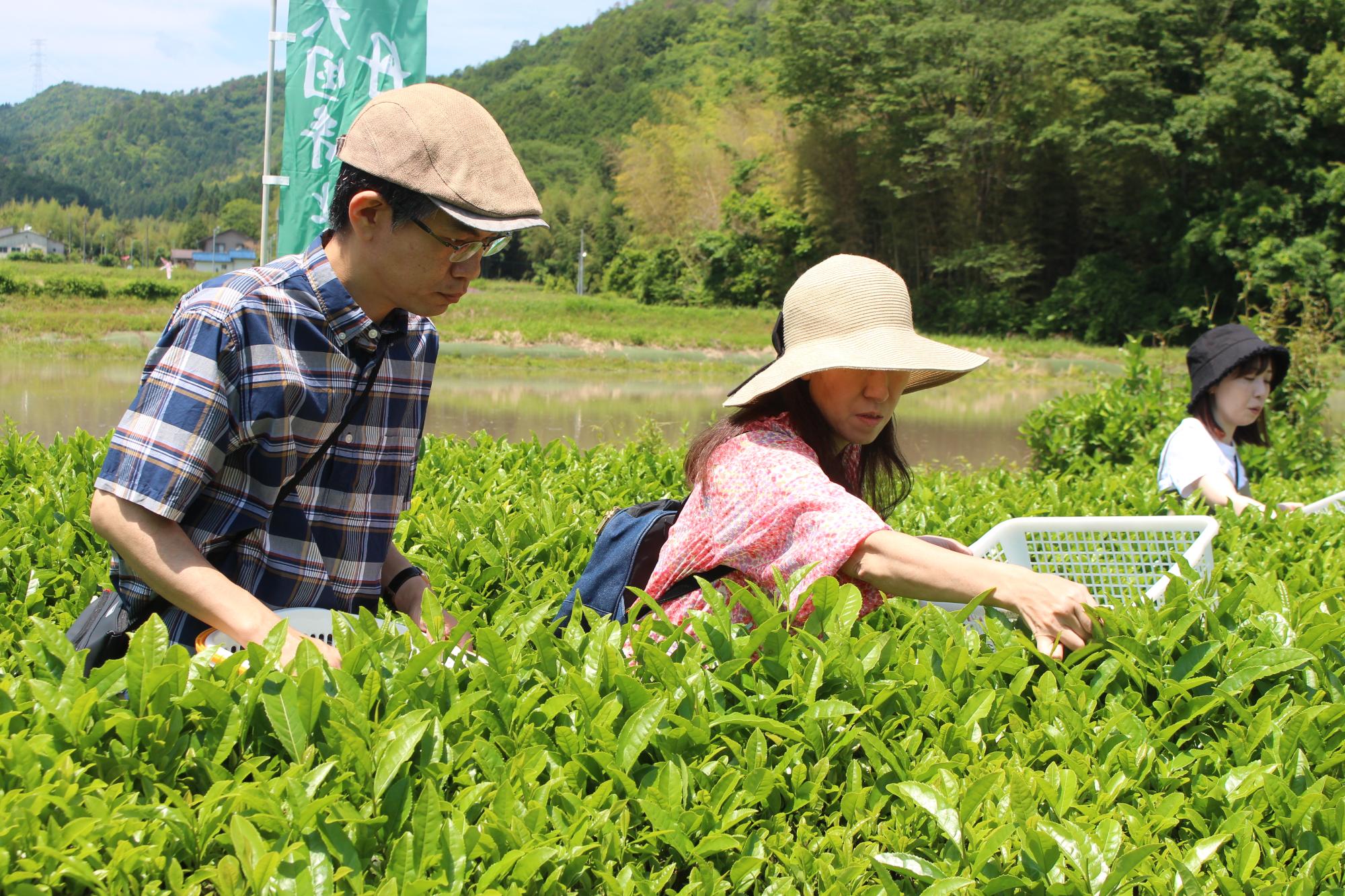 茶まつりの様子
