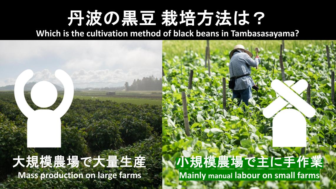 出題されたクイズ