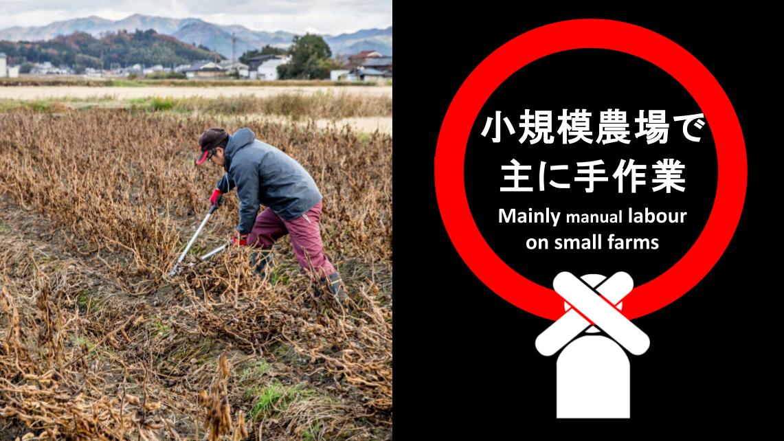 出題されたクイズ