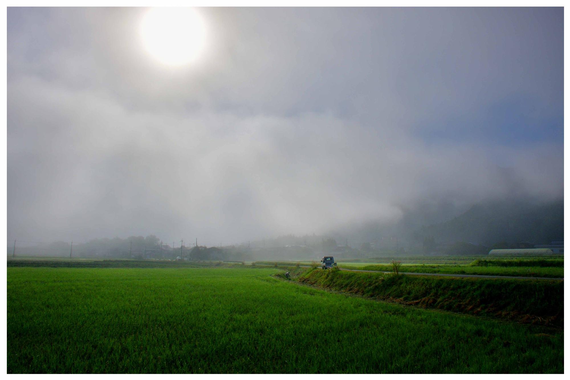 霧の降る朝の写真