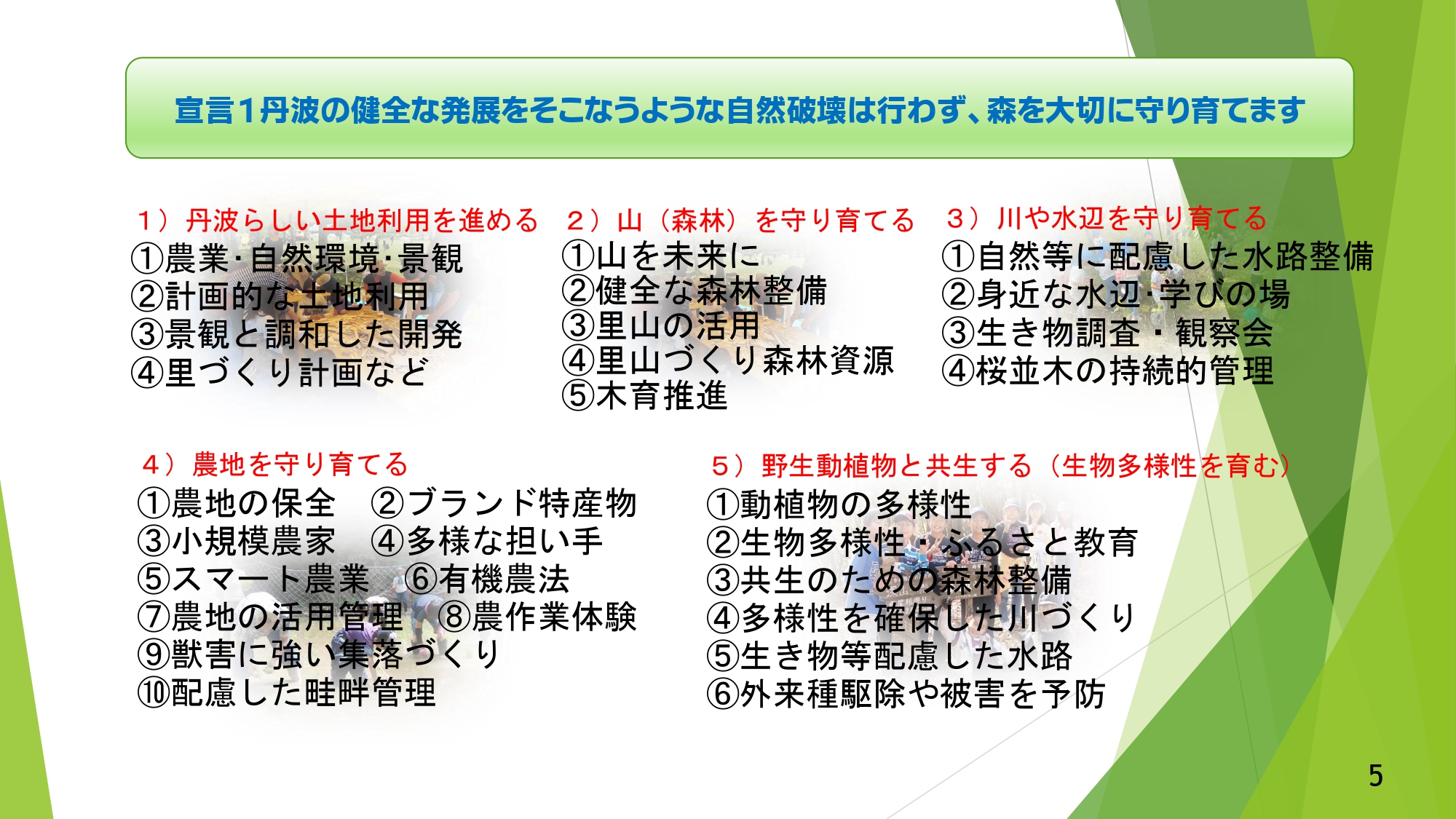 丹波の森創造計画